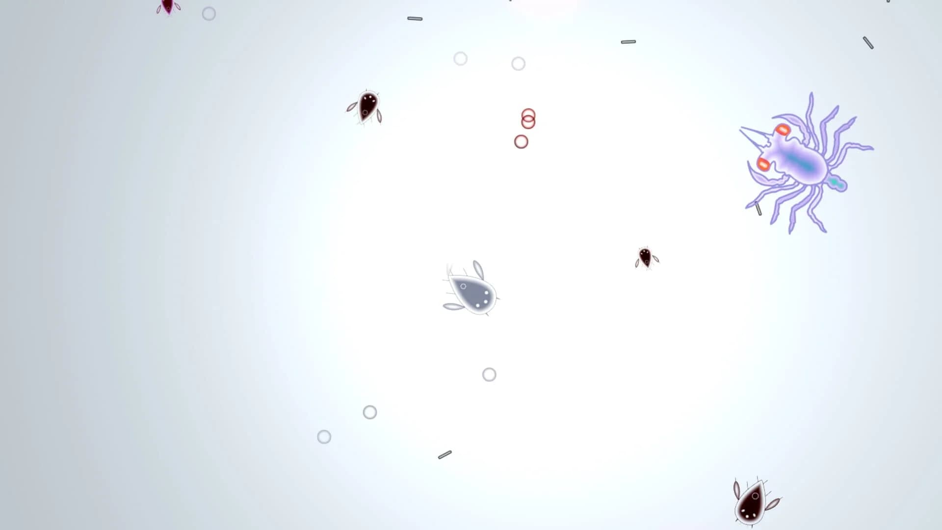 Feesh screenshot 1