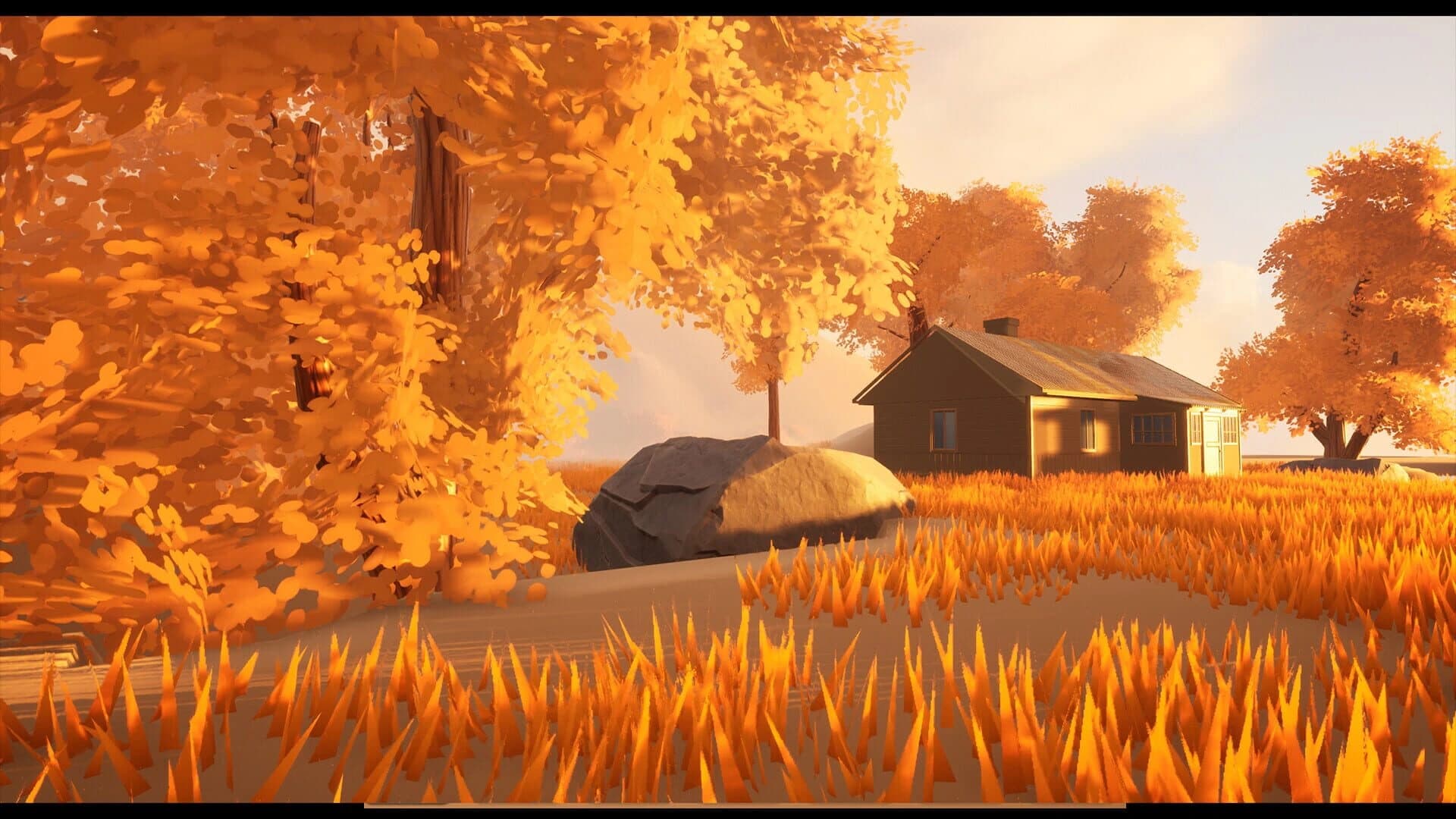 Fern Light screenshot 5