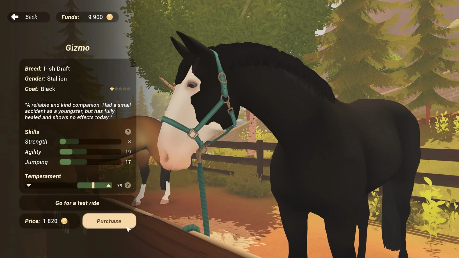 Fernhoof Grove: Riding Academy screenshot 5