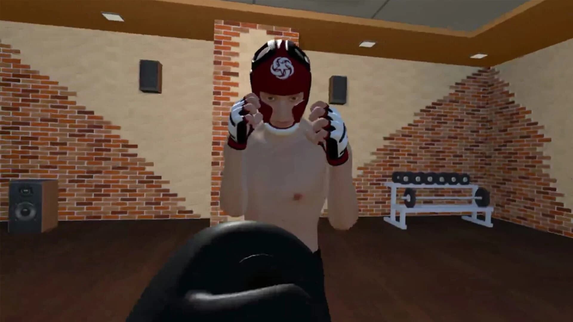 Fight Sparring VR screenshot 1