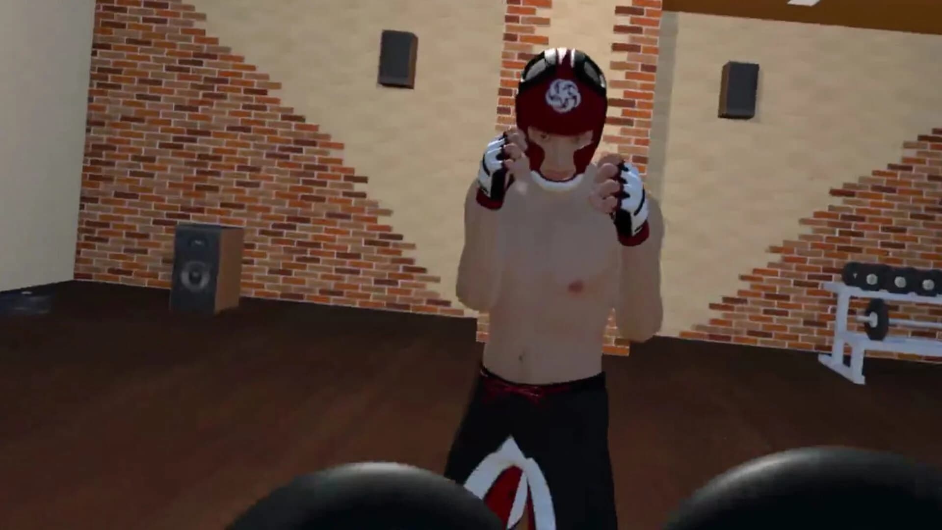 Fight Sparring VR screenshot 3