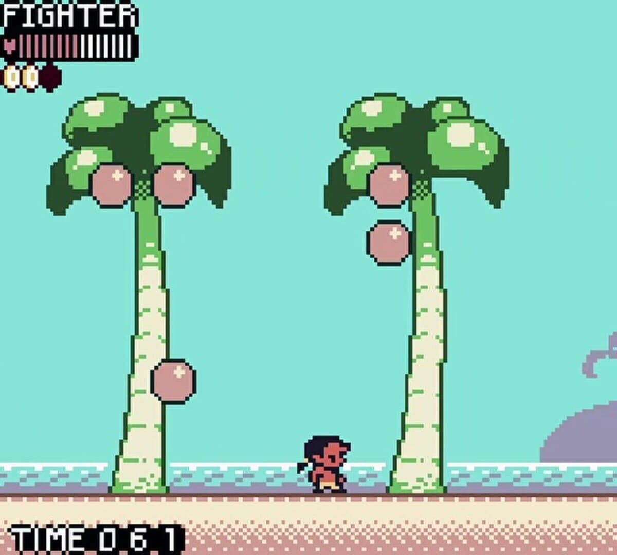 Fighter on the Path of Glory screenshot 5