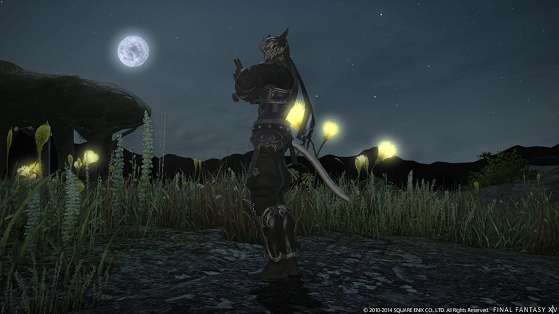 Final Fantasy XIV: Dreams of Ice screenshot 1