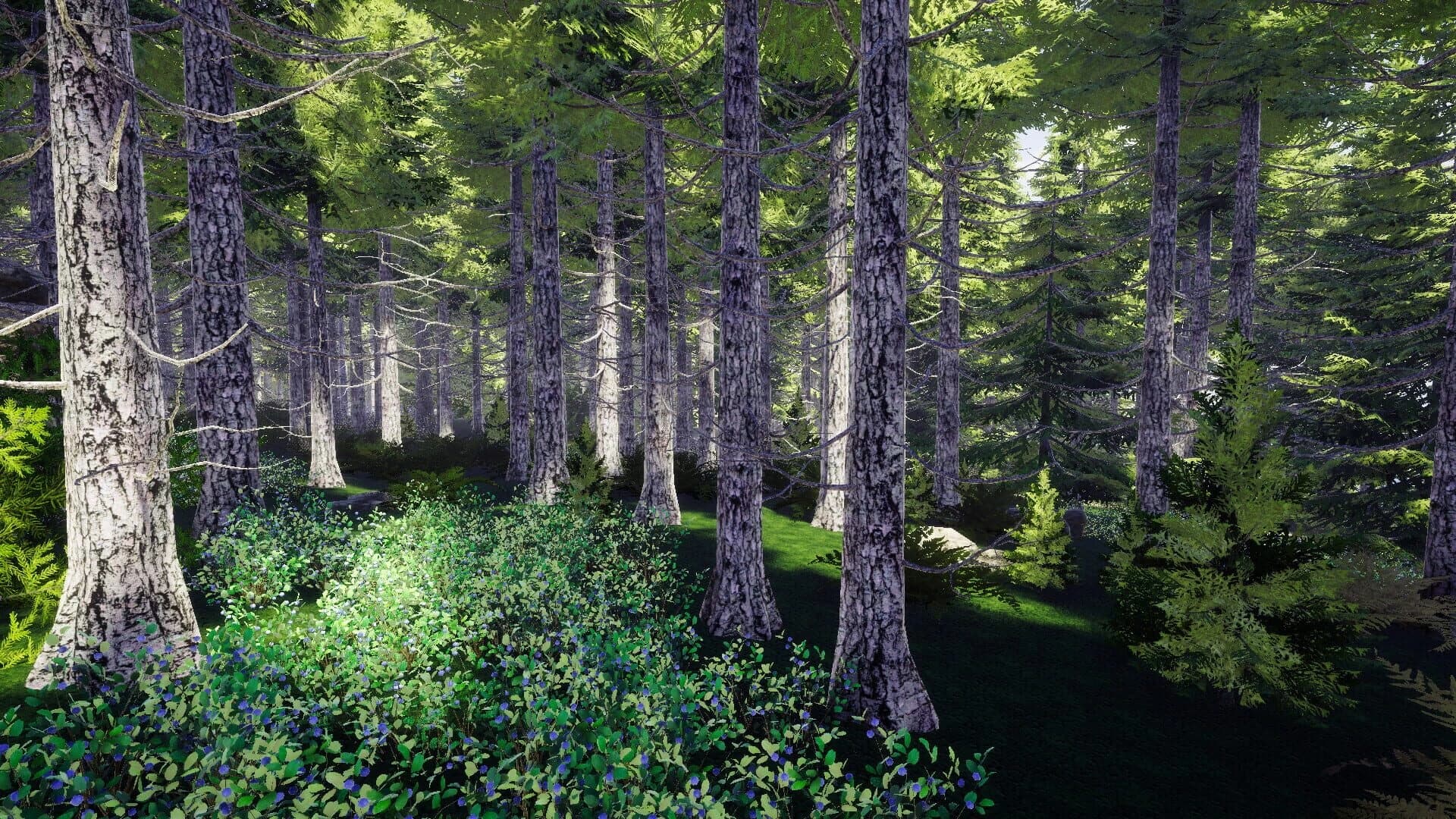 Finnish Forest screenshot 3