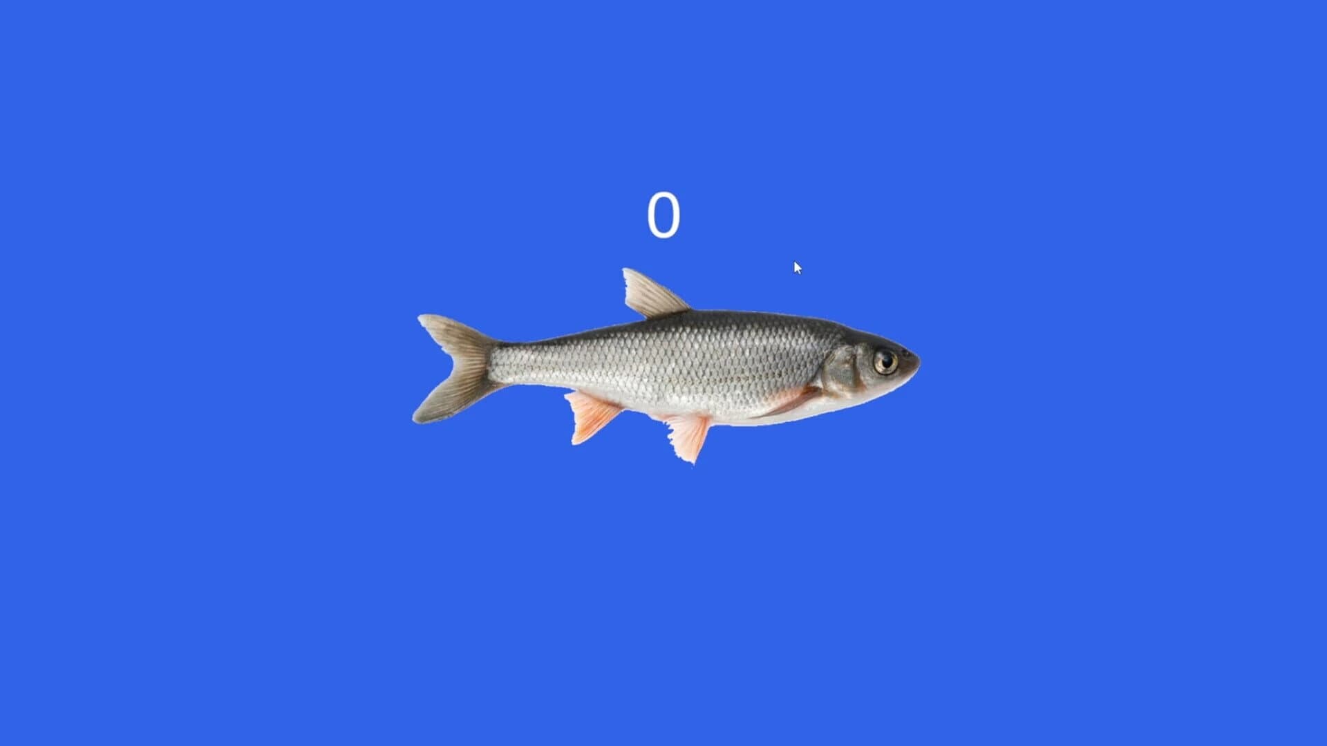 Fish screenshot 1