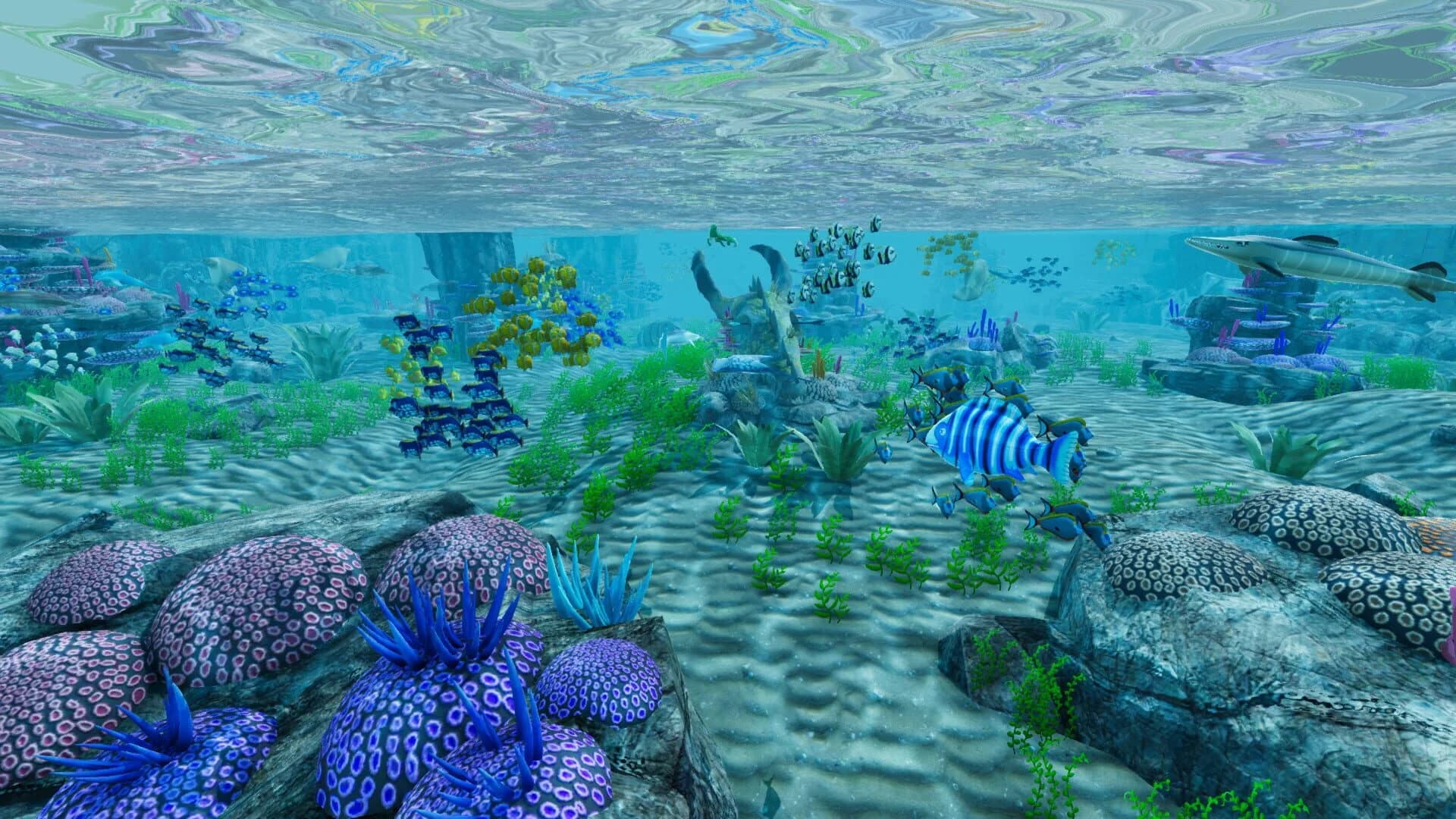 Fisherones screenshot 2