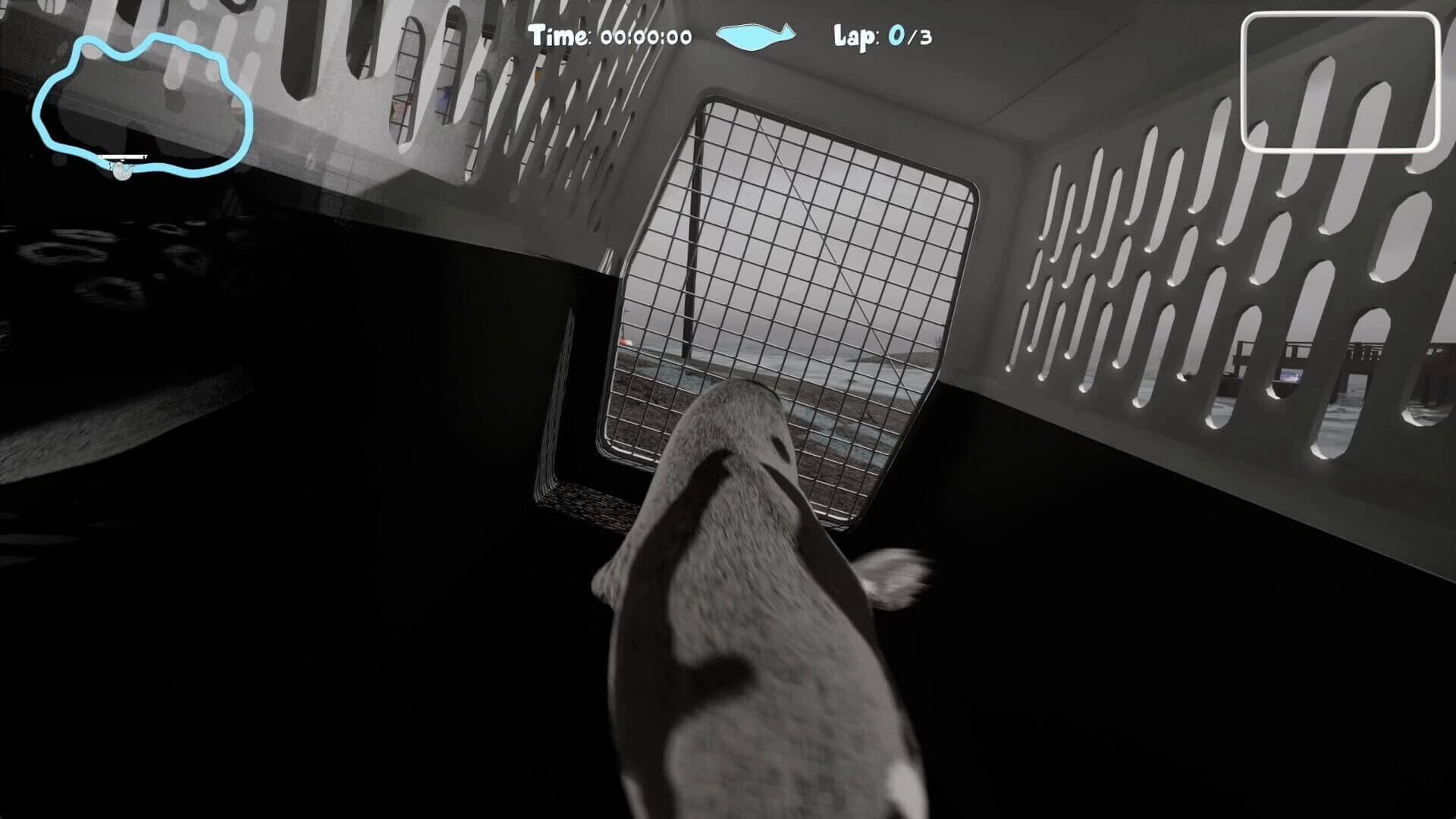 Flipper Frenzy screenshot 2