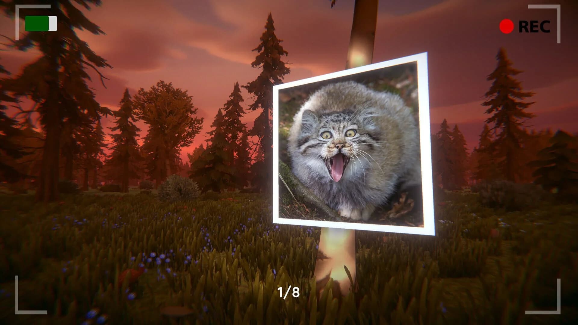 Floppa: The Dark Forest screenshot 1