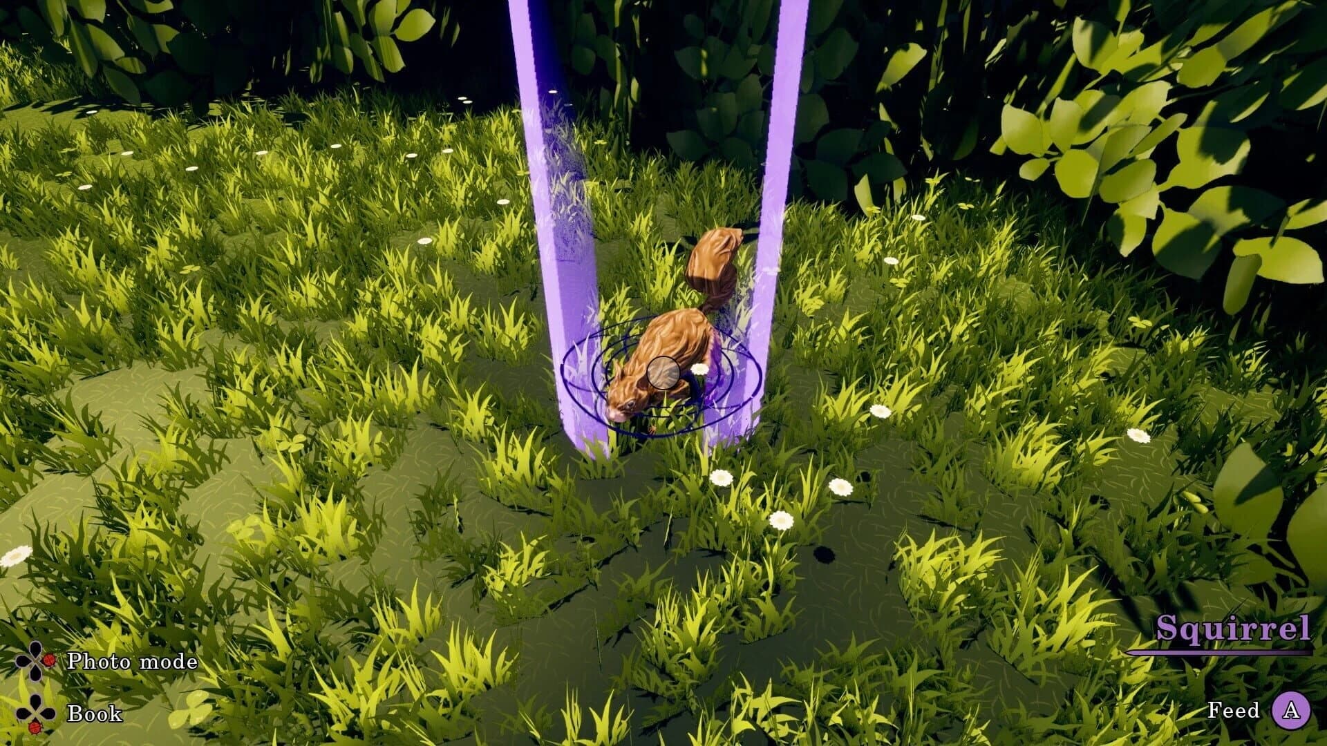 Flowerbloom Cottage screenshot 5