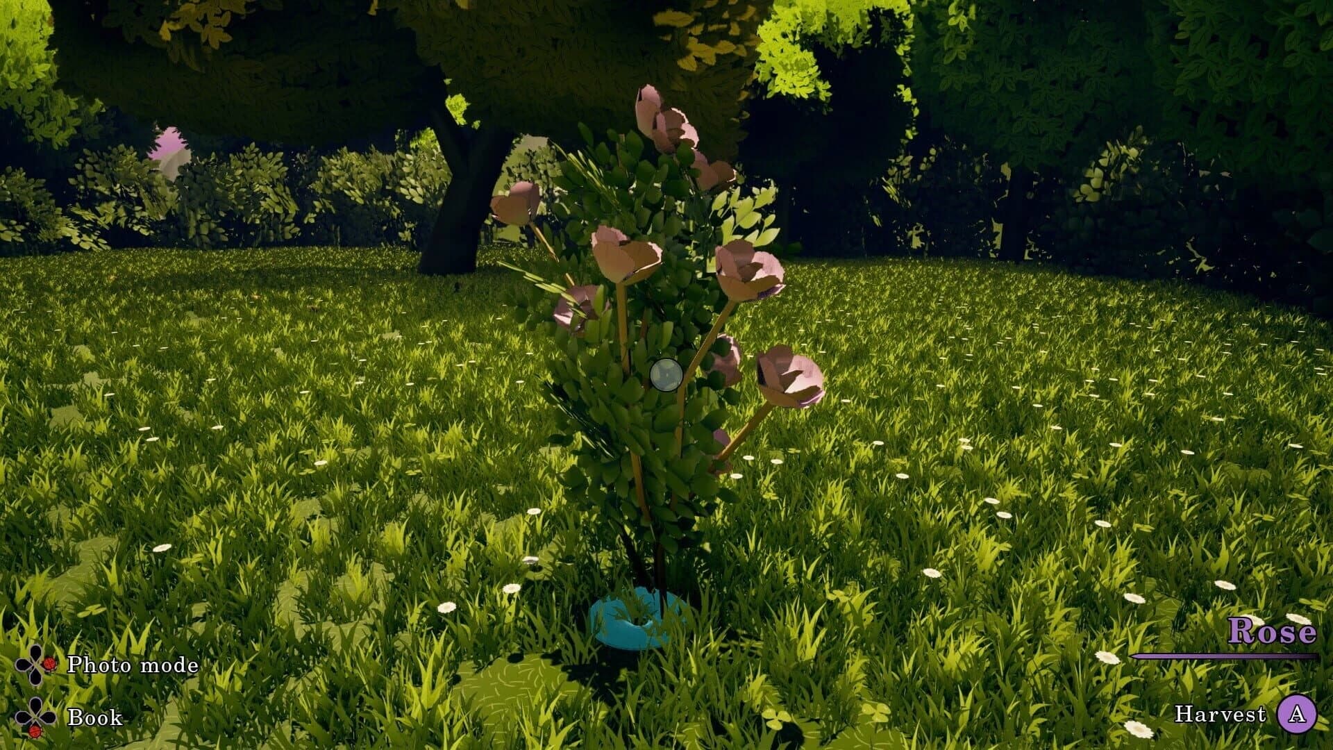 Flowerbloom Cottage screenshot 4