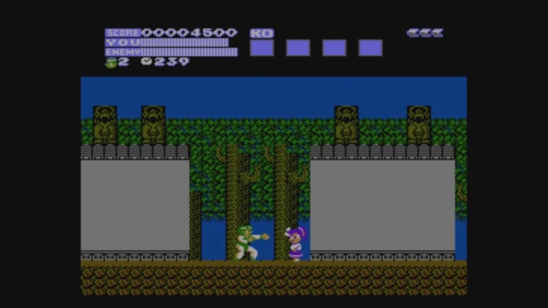 Flying Dragon: The Secret Scroll screenshot 2