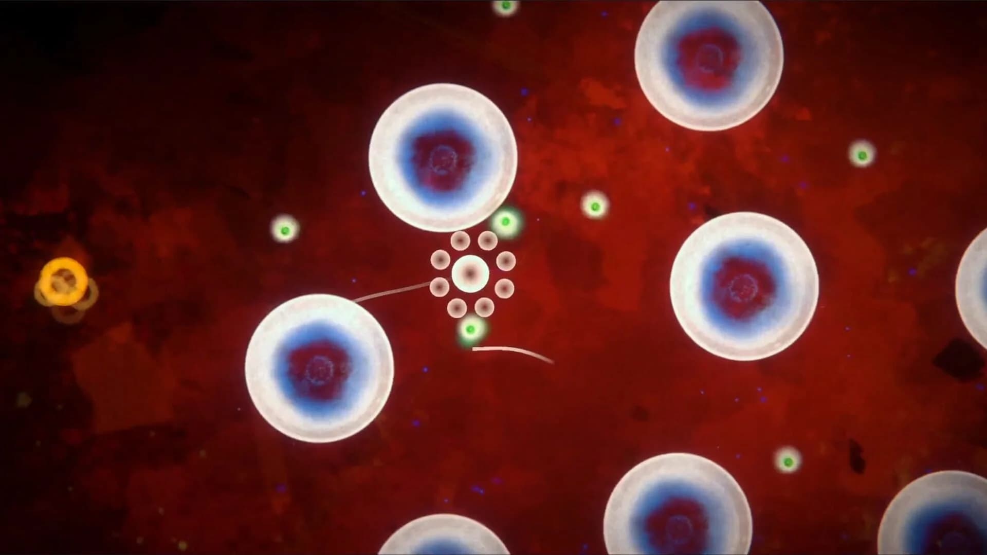 Focus Find screenshot 1