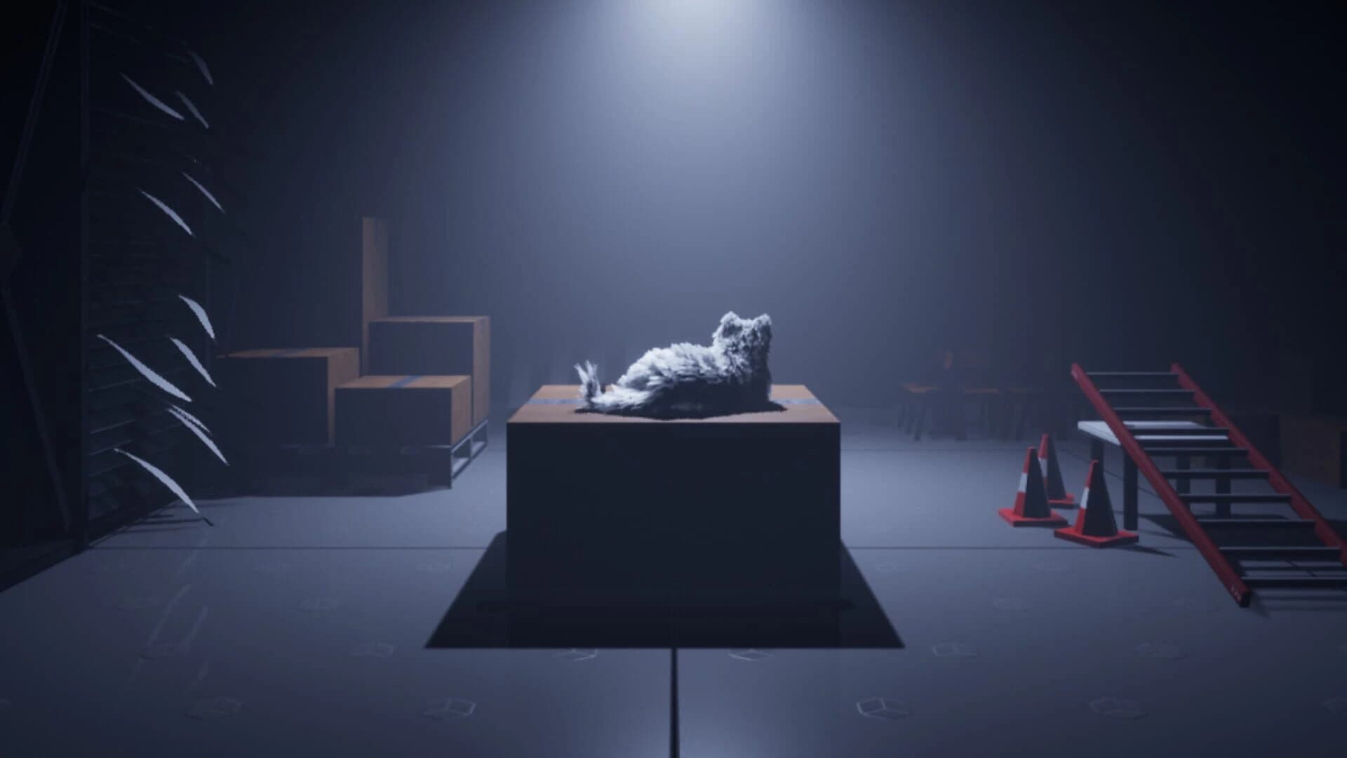 Follow The Cat screenshot 1