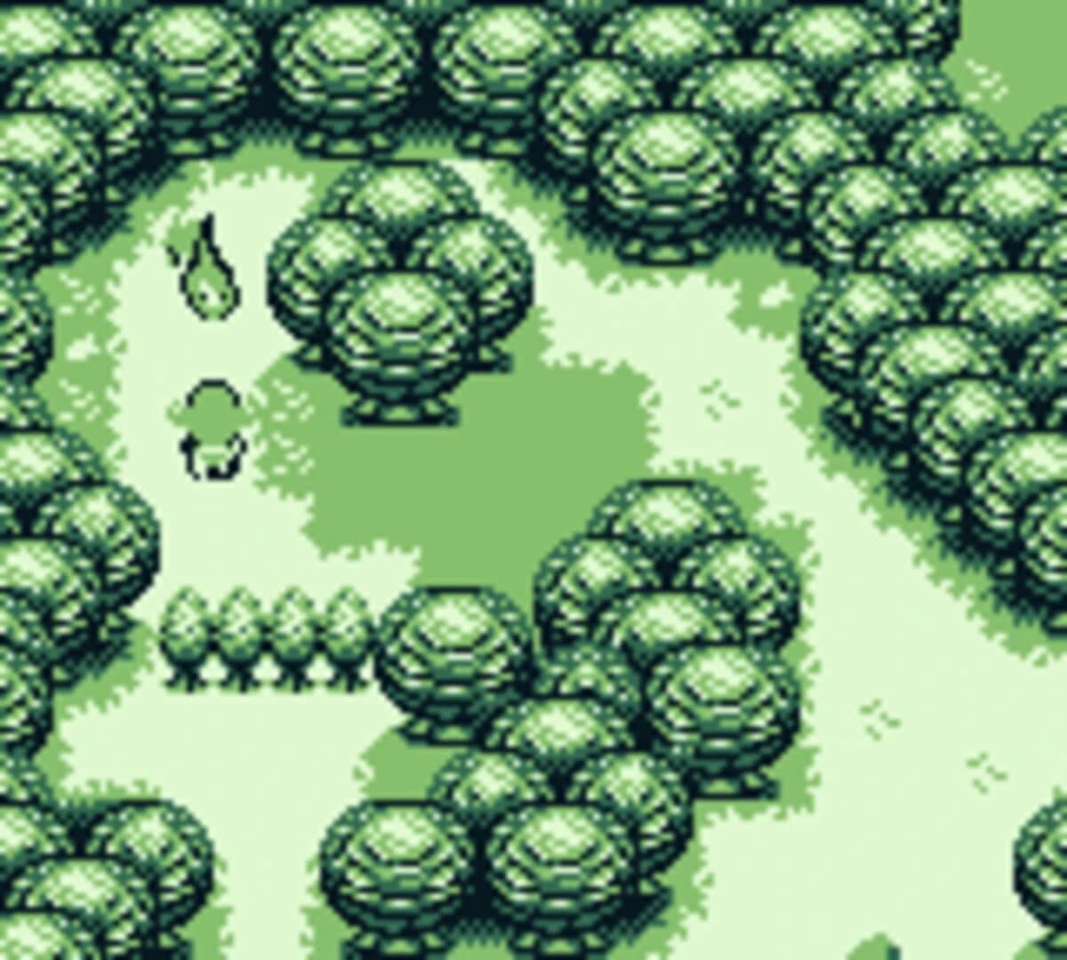 Forest screenshot 2