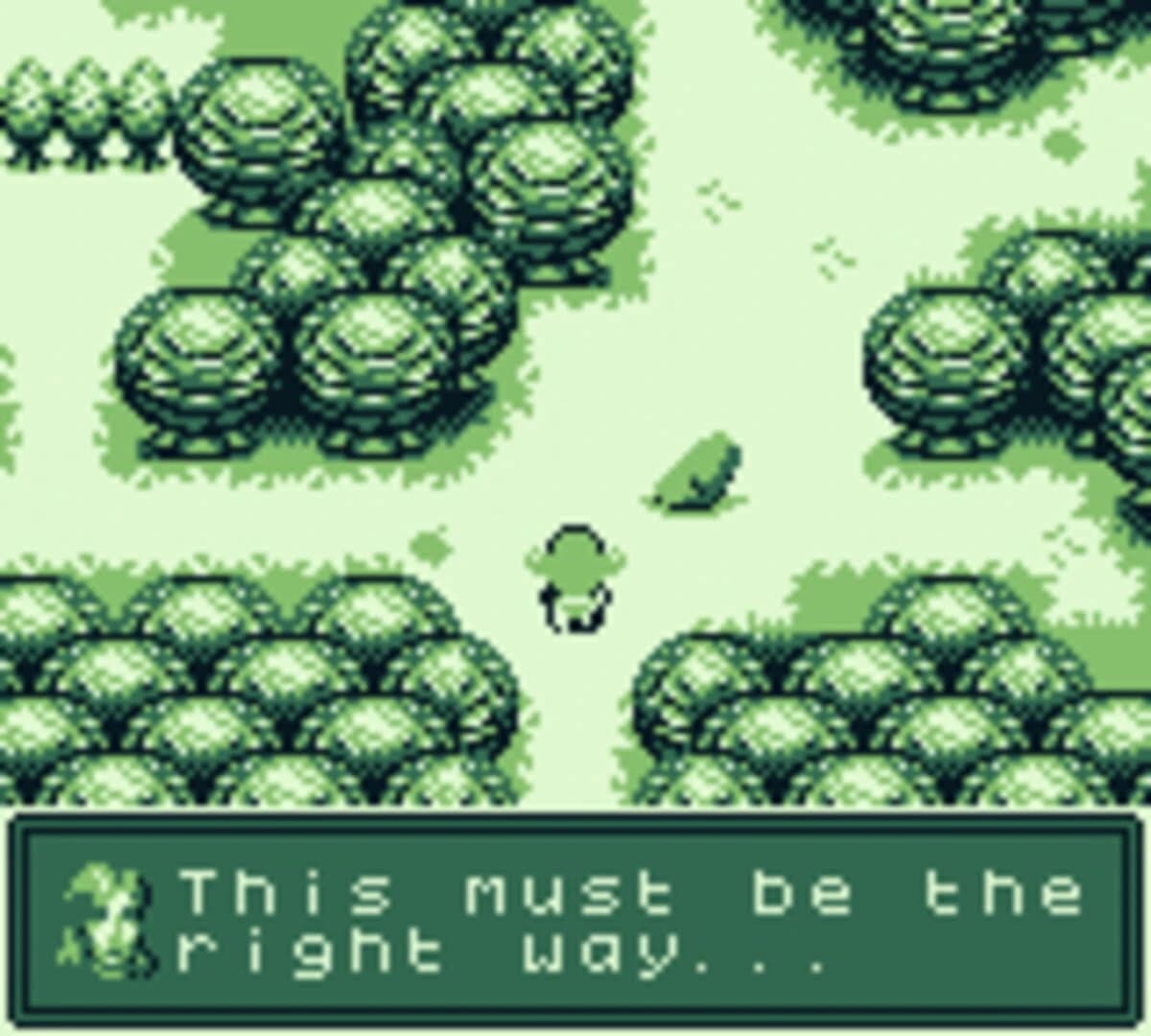 Forest screenshot 4