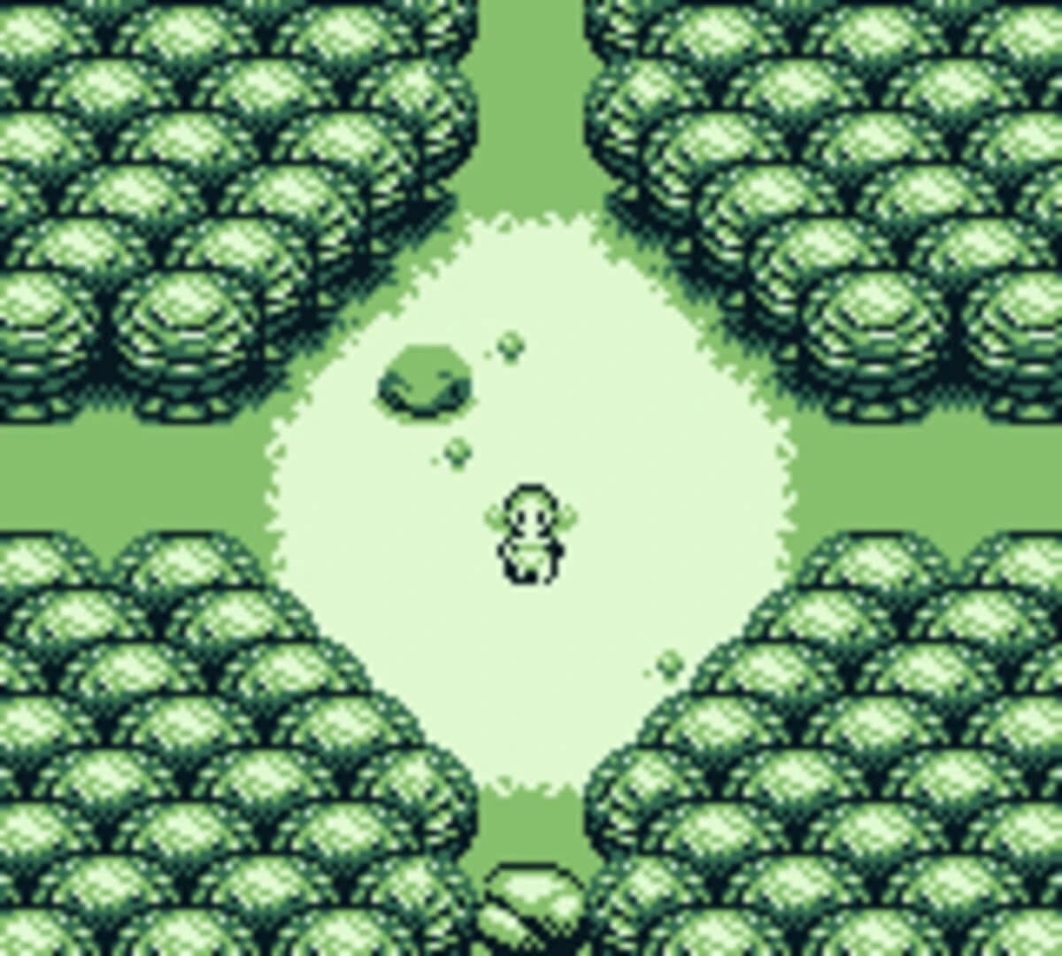 Forest screenshot 1