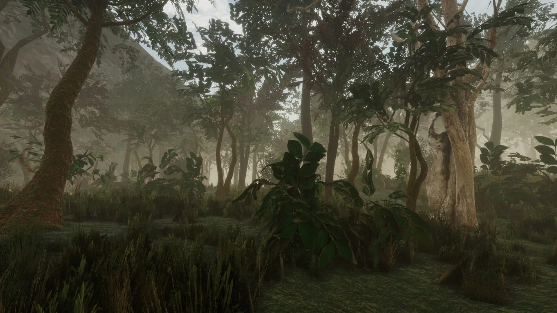 Forest screenshot 3