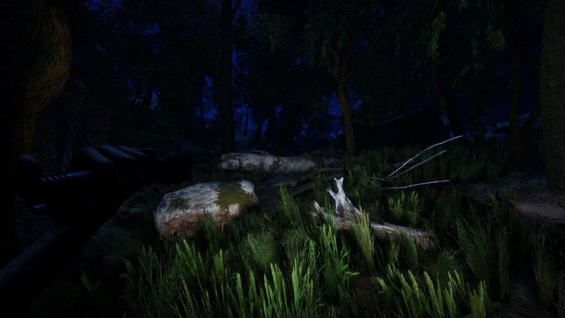 Forest screenshot 2