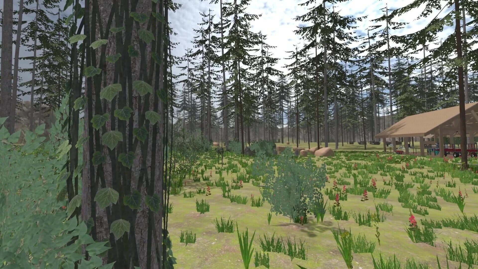 Forest Construction VR screenshot 2