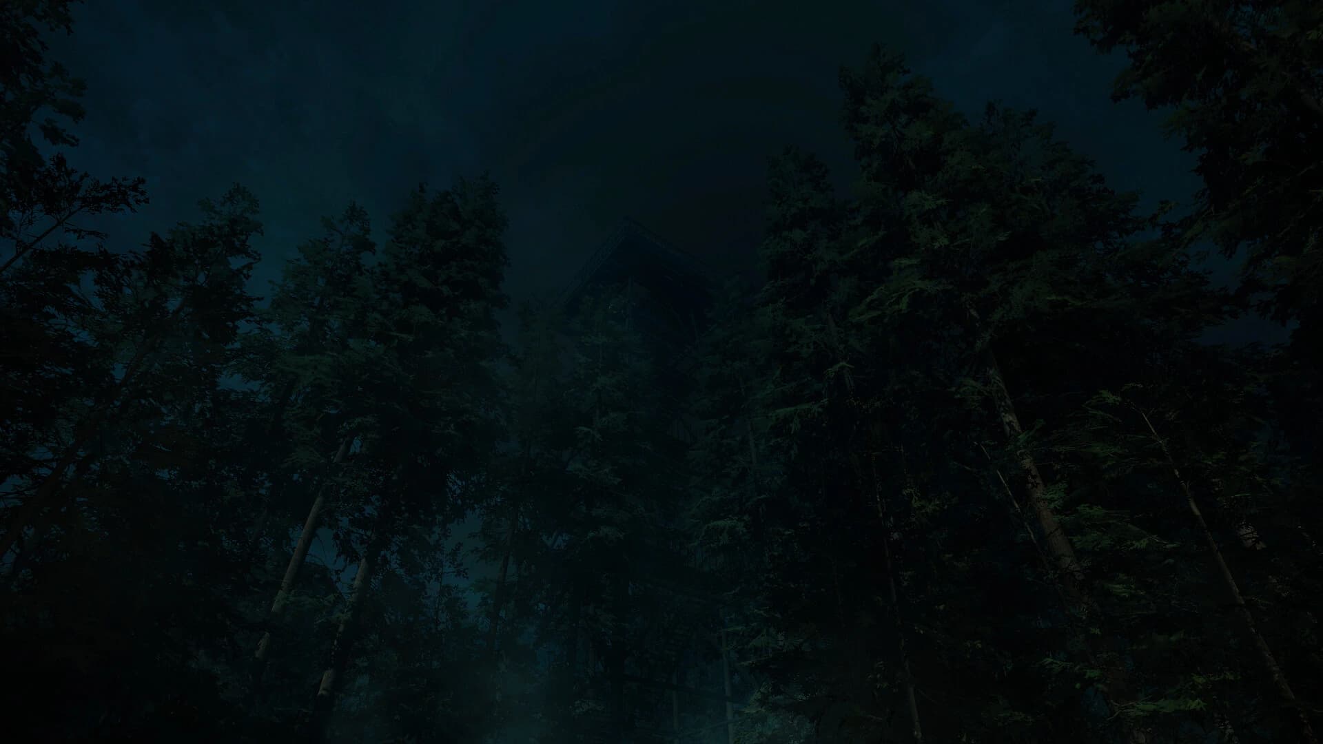 Forest Lookout screenshot 1