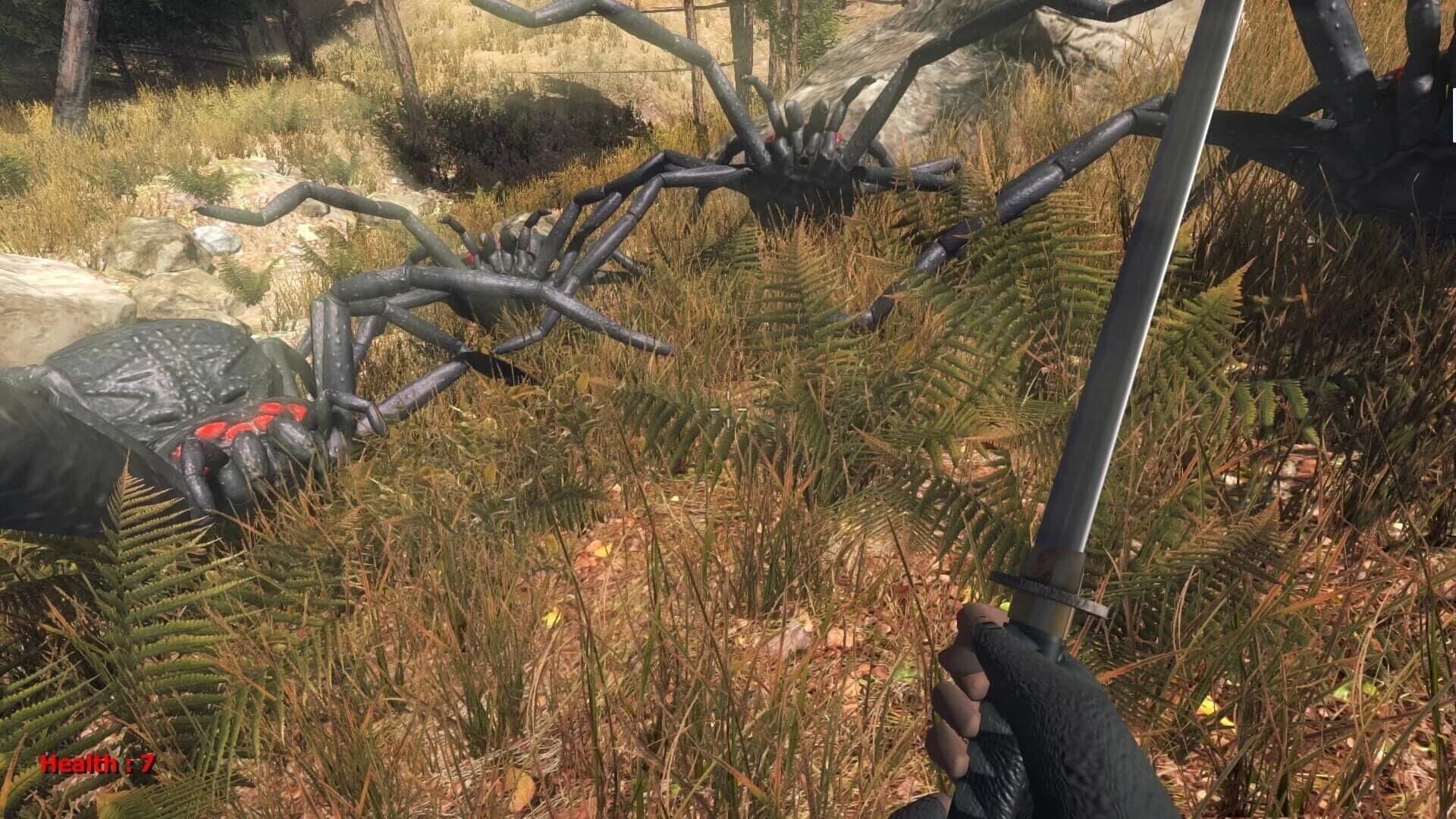 Forest spiders screenshot 1