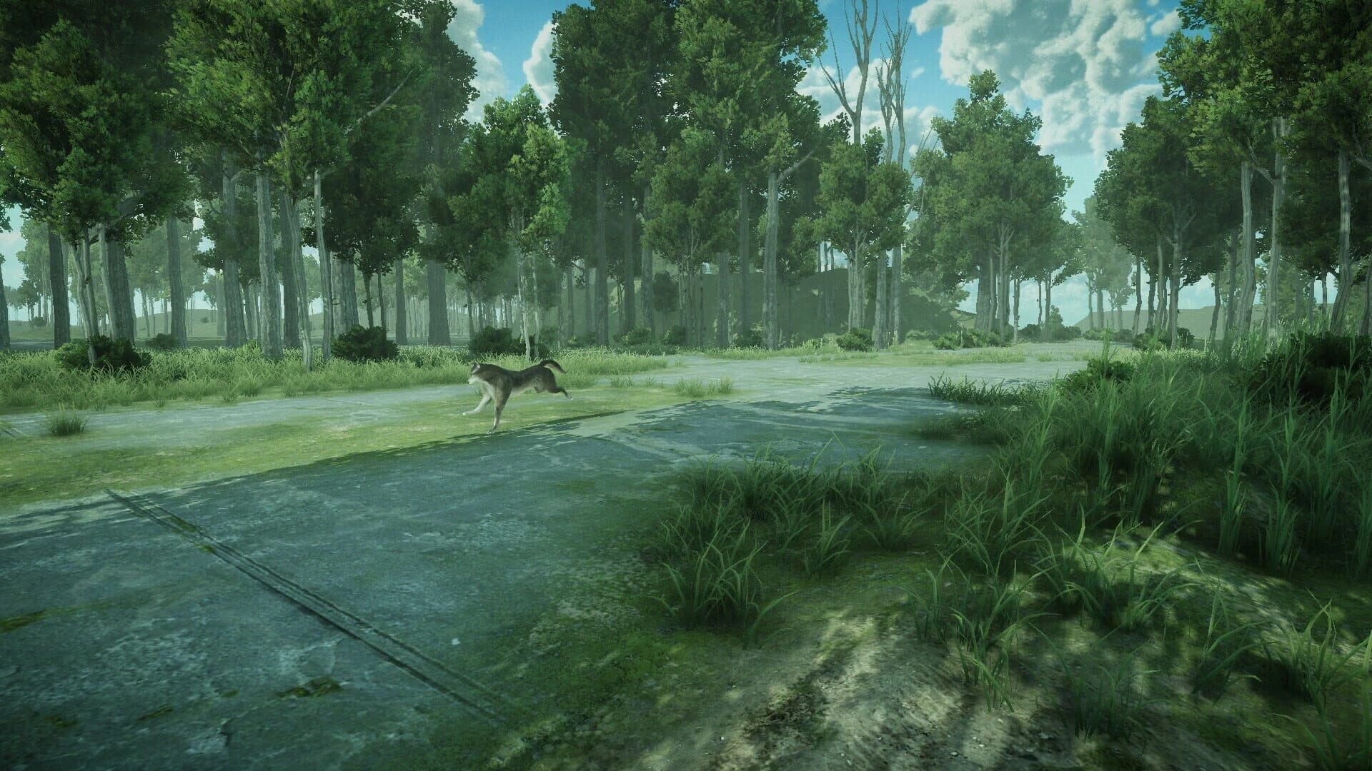 Forest Spring screenshot 5