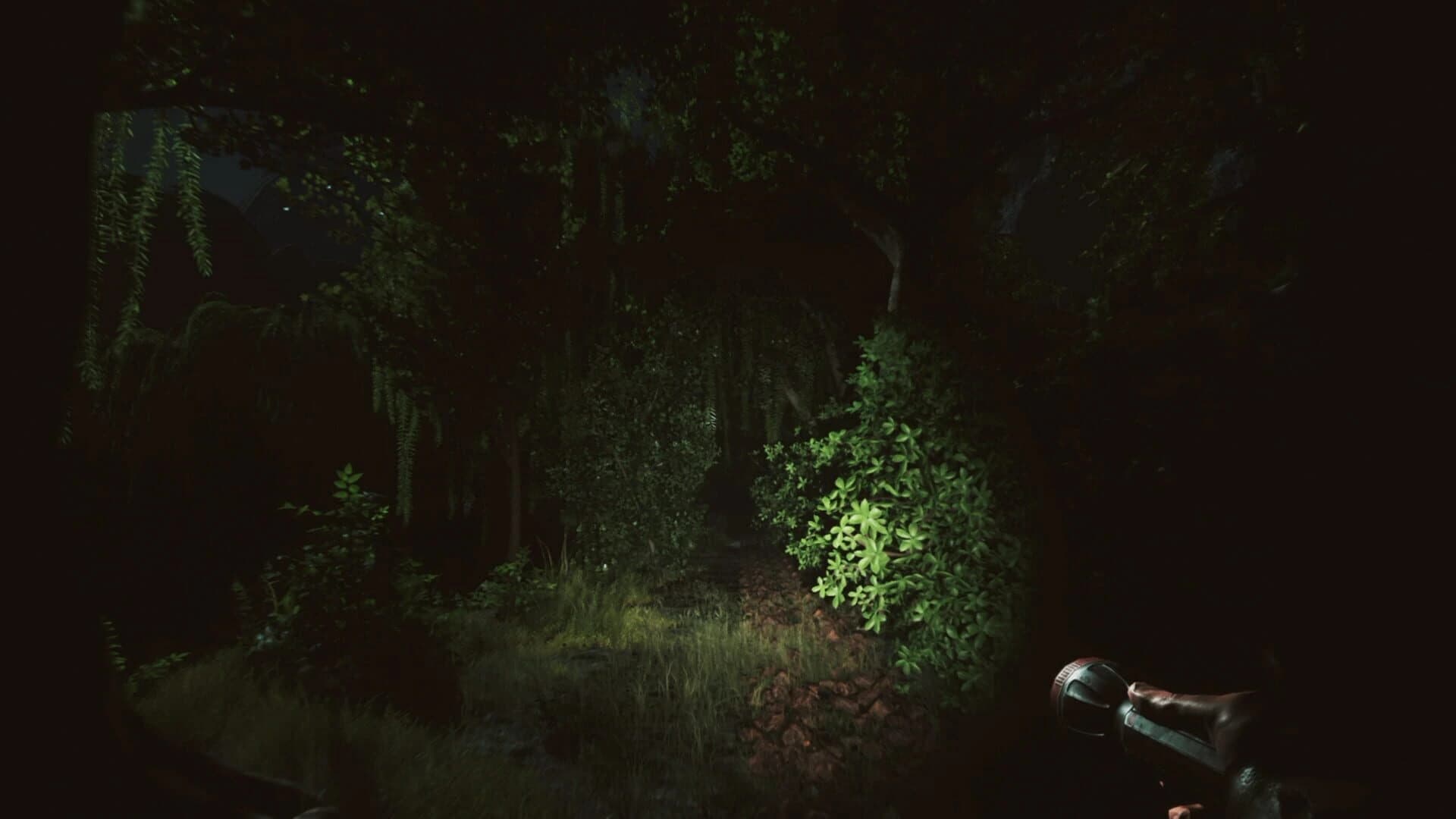 Forlorn: The mysteries of Highshadowland screenshot 5