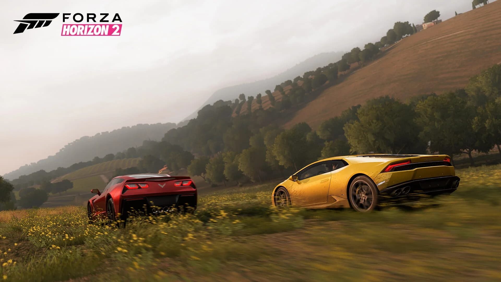 Forza Horizon 2 screenshot 2