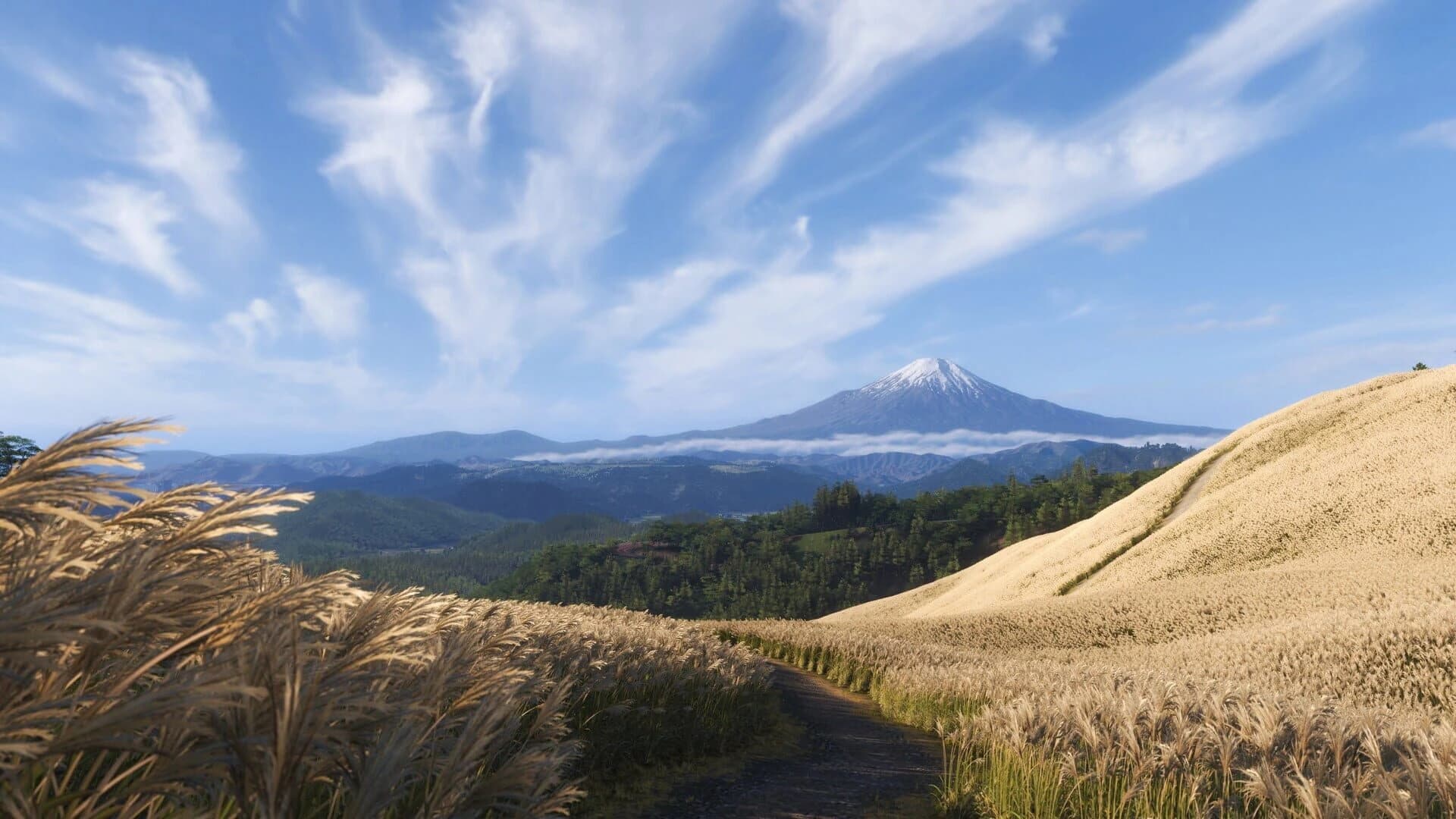 Forza Horizon 6: Deluxe Edition screenshot 5
