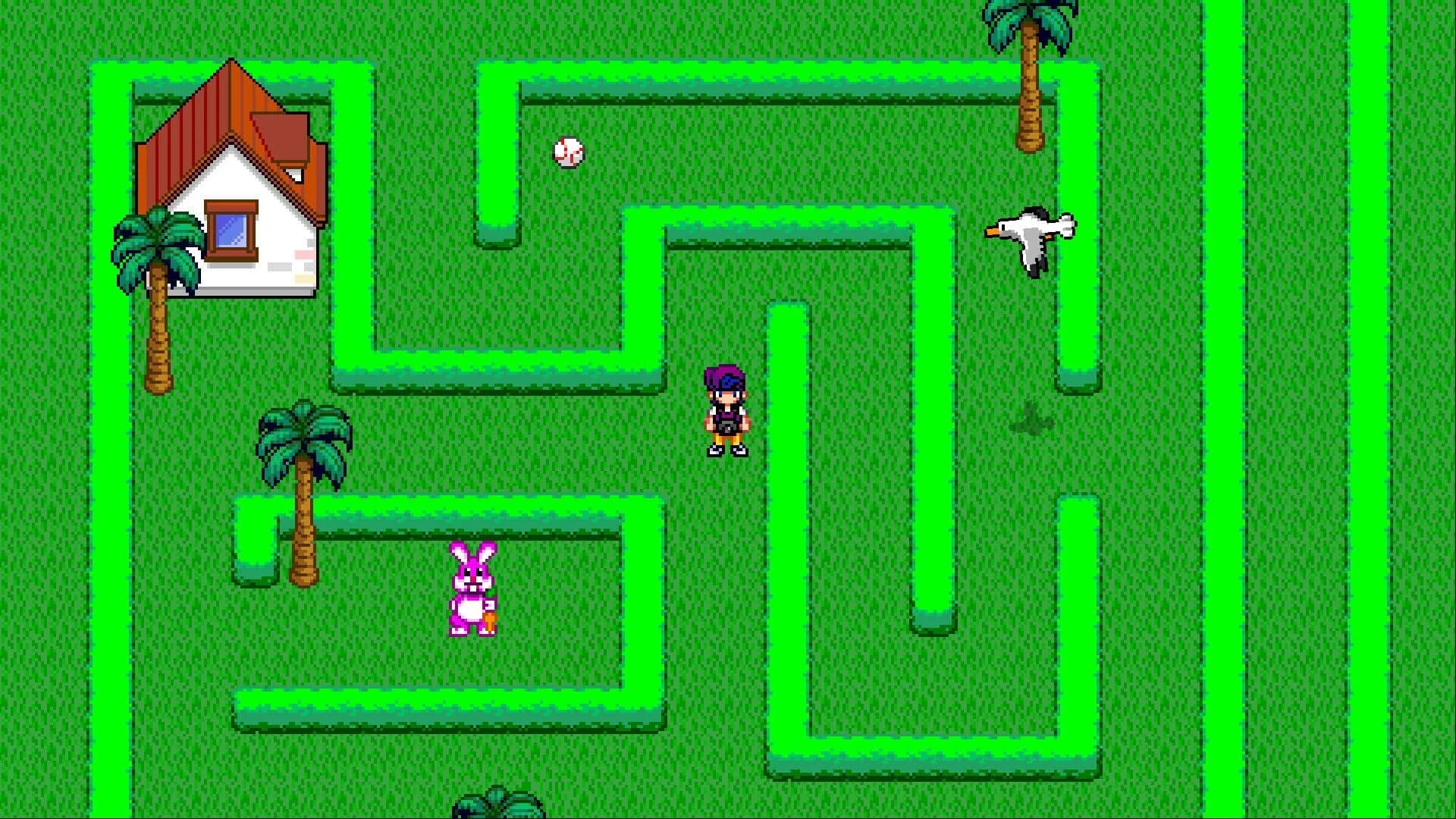 Foto Flash screenshot 1