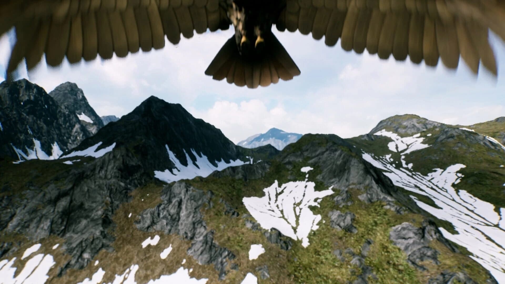 Freedom screenshot 5