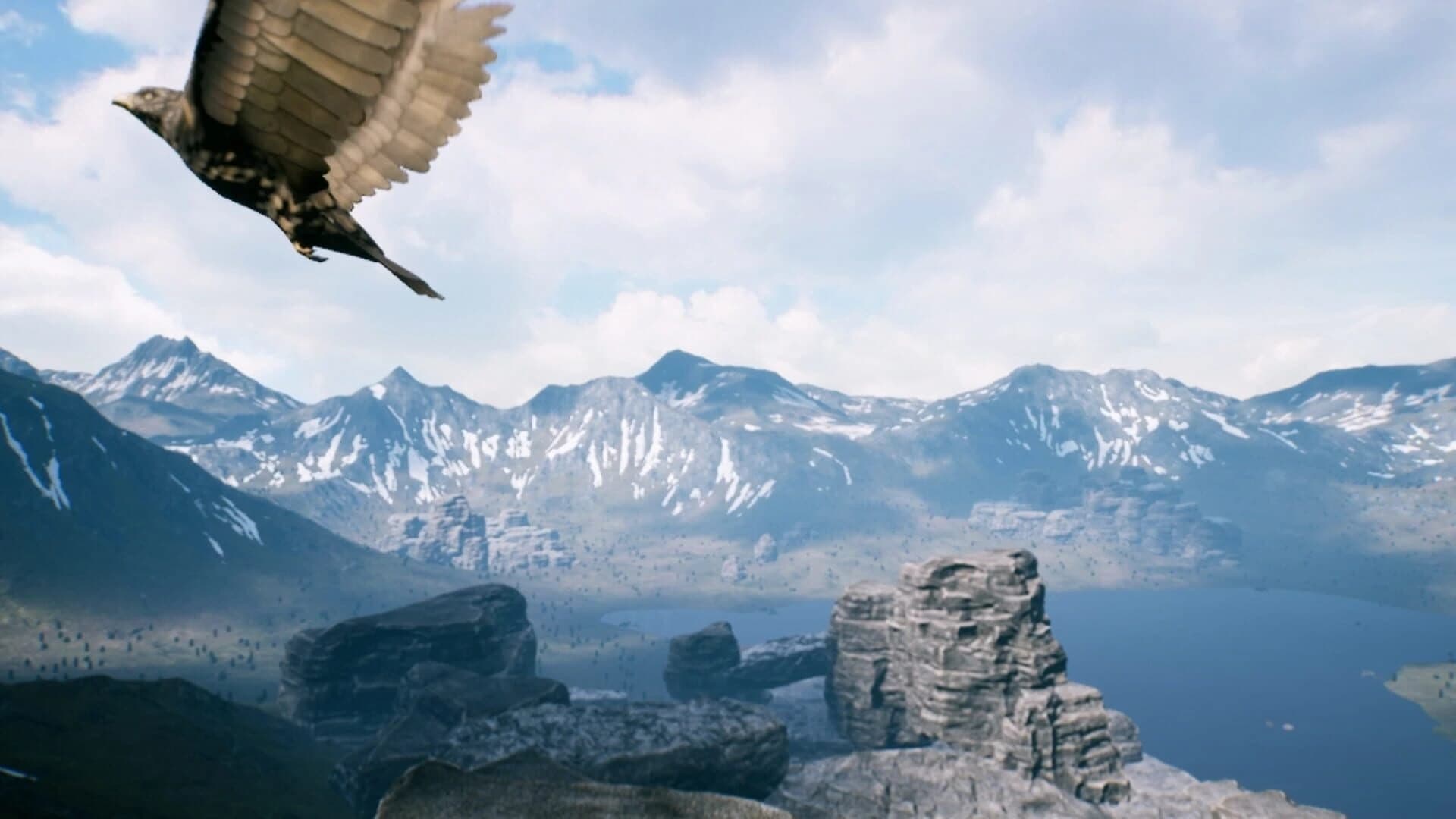 Freedom screenshot 3