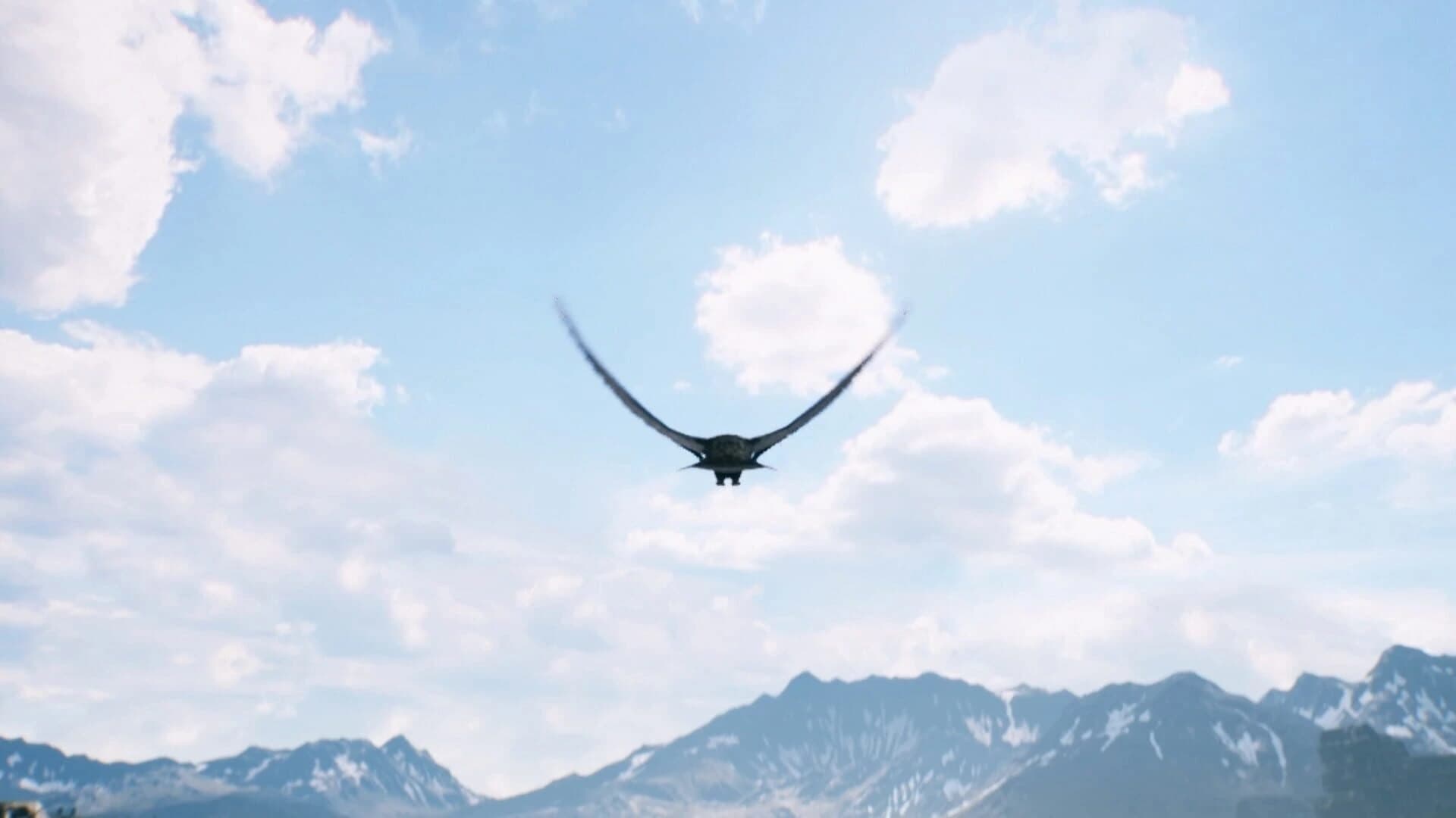 Freedom screenshot 4