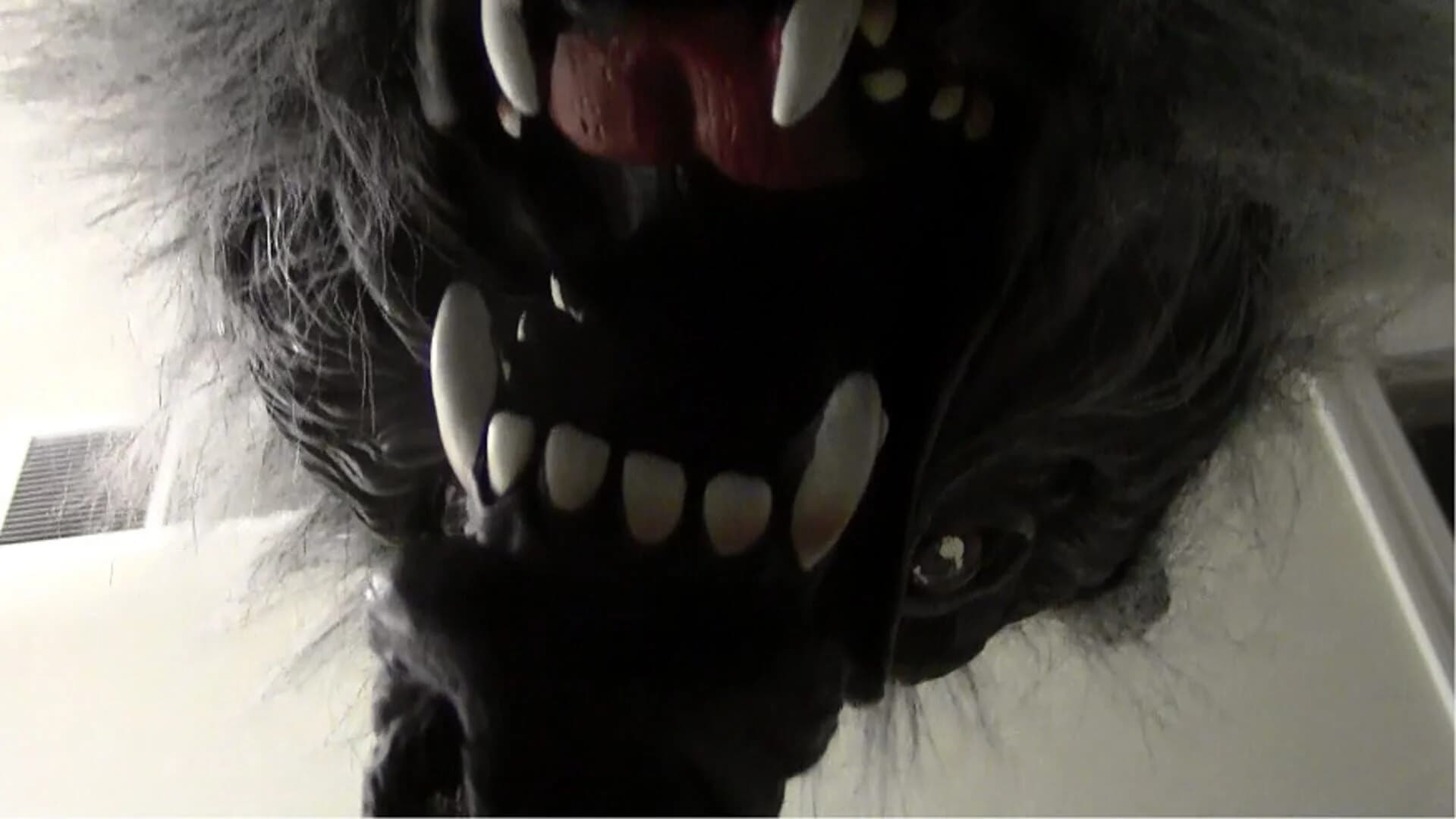 Fright Light screenshot 1