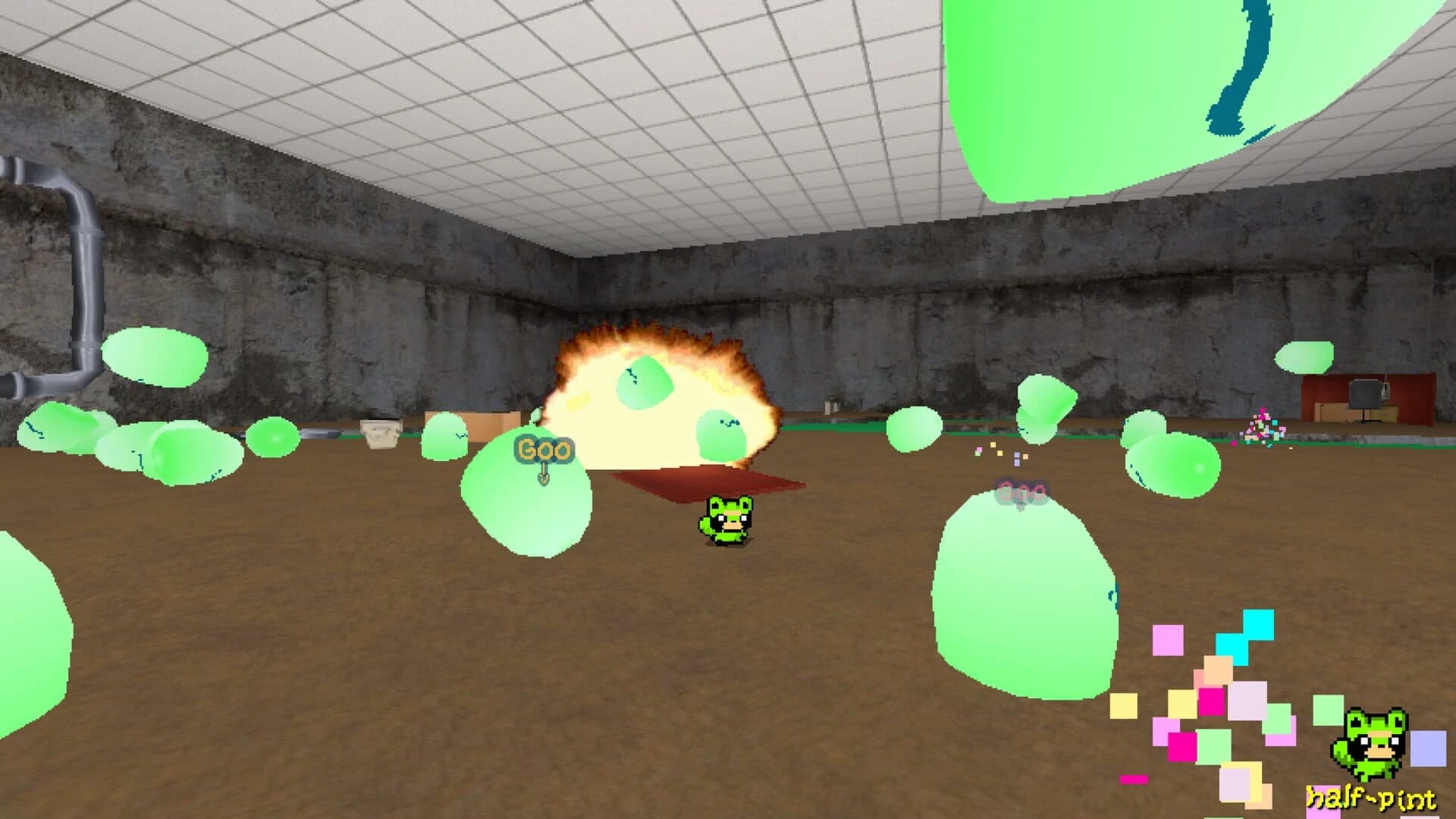 Funi Raccoon Game screenshot 5