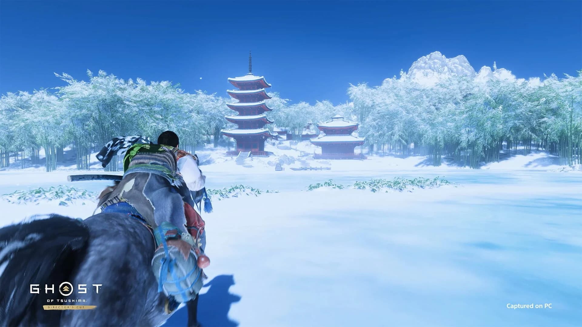 Ghost of Tsushima: Director's Cut screenshot 5