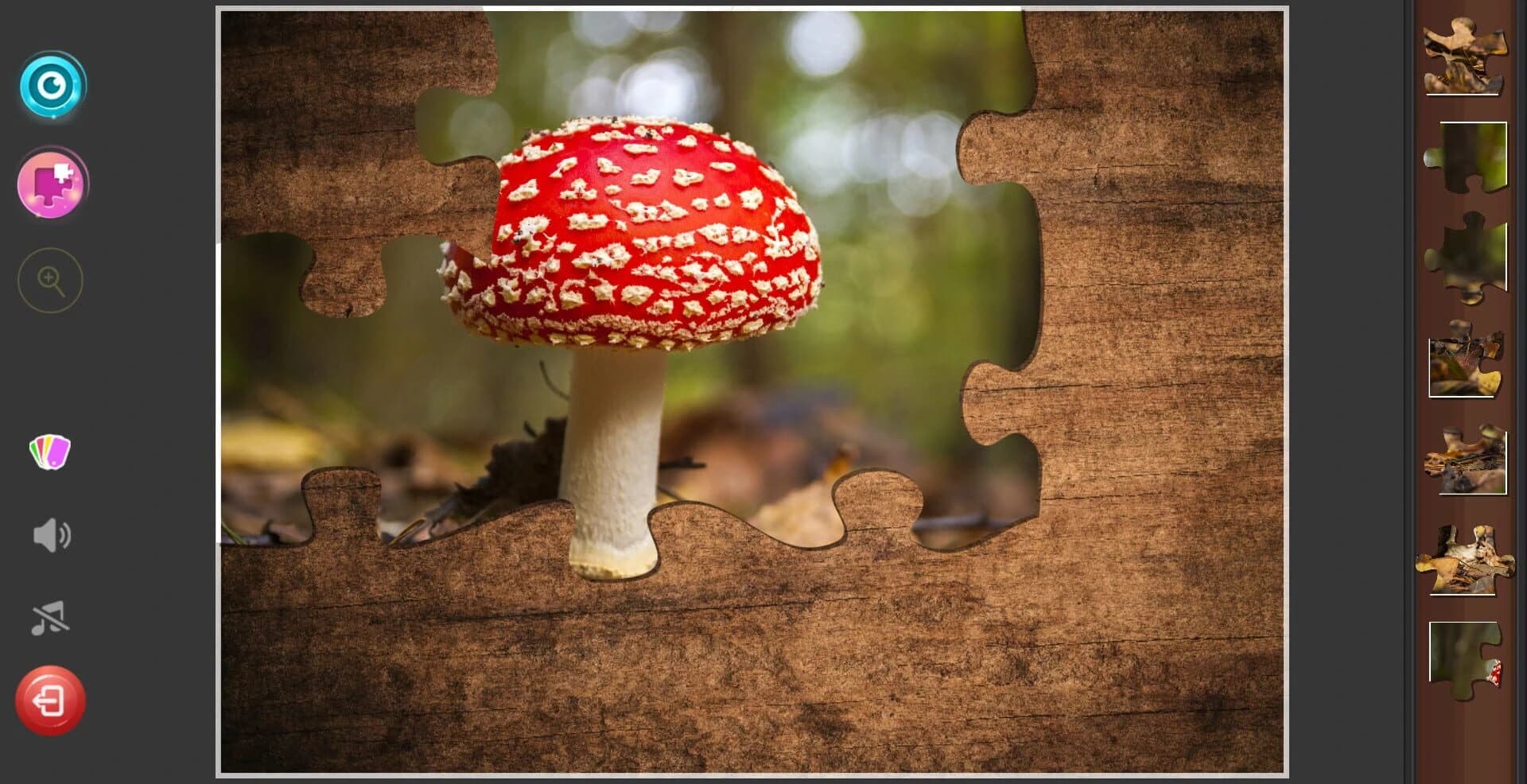 Gnome: Jigsaw Puzzles screenshot 1
