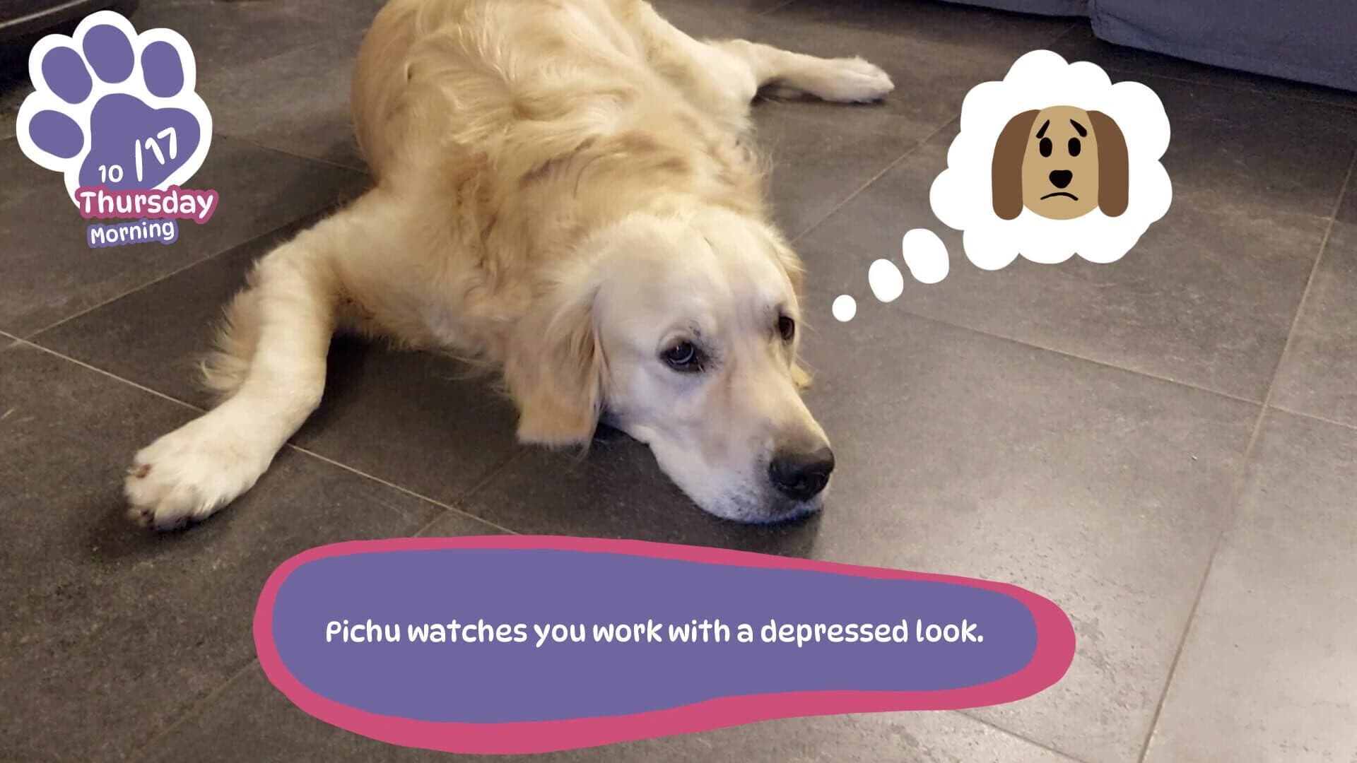 Golden Retriever Simple Life screenshot 5
