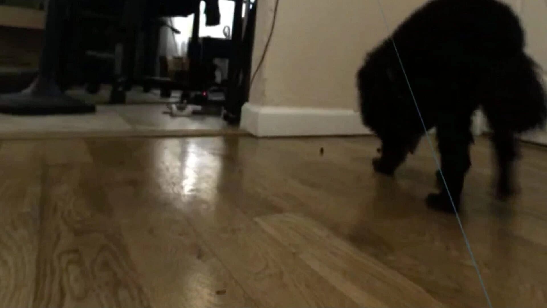 GonzoVR screenshot 2