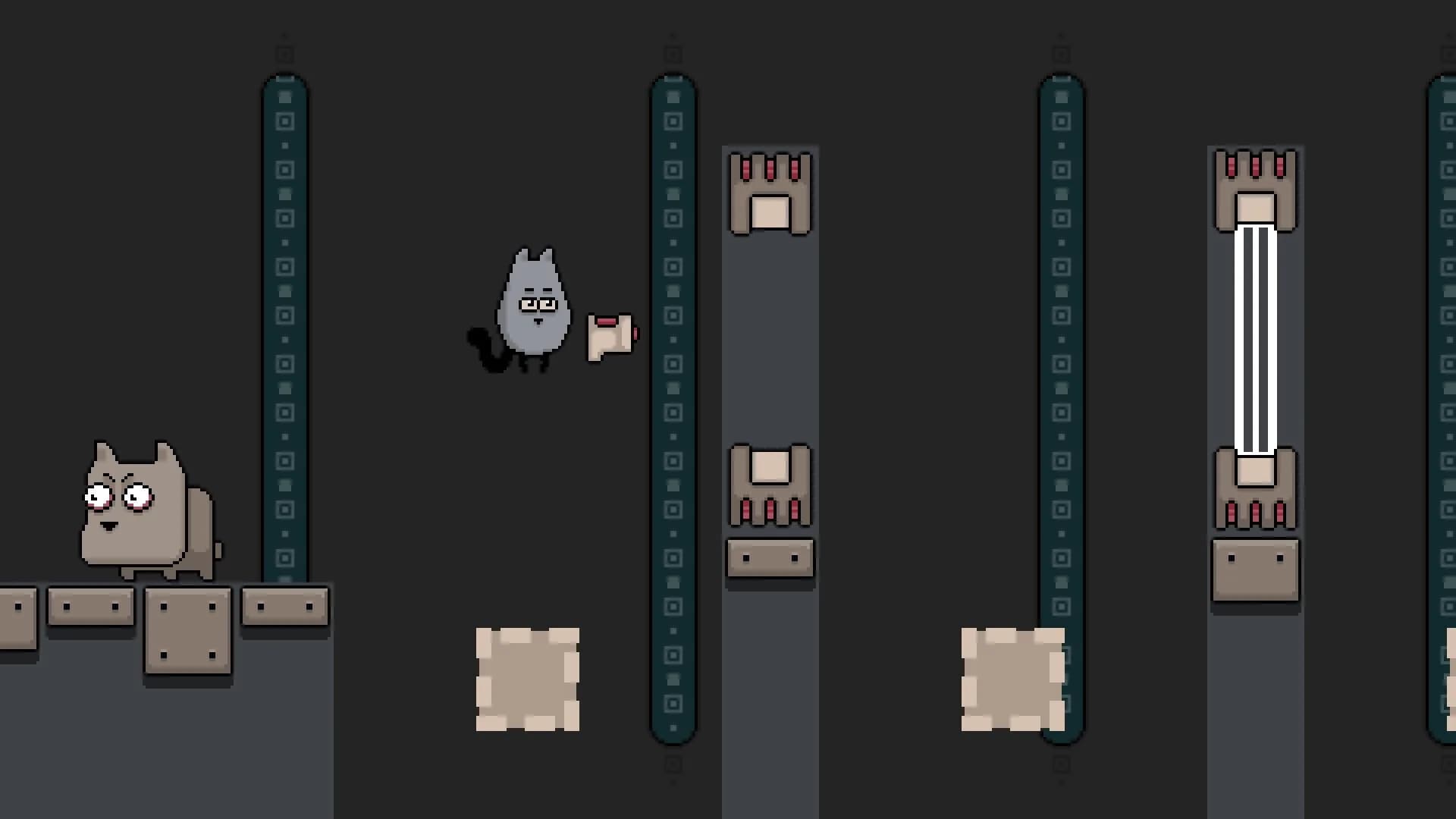 Gray Cat screenshot 1