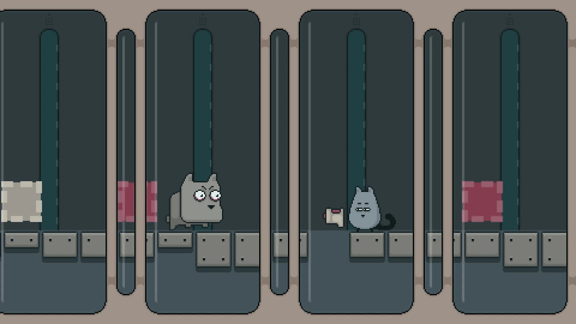 Gray Cat screenshot 5