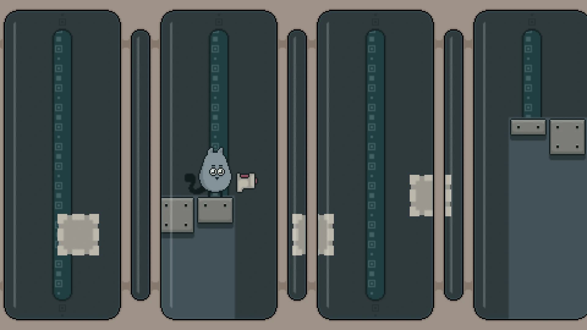 Gray Cat screenshot 2