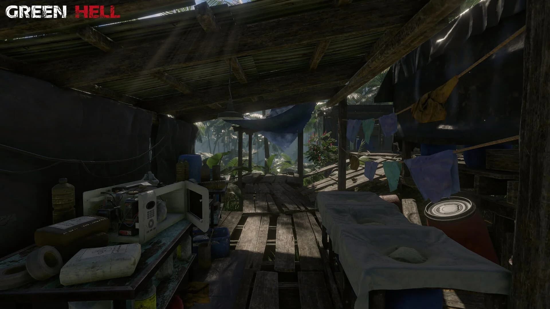 Green Hell screenshot 2