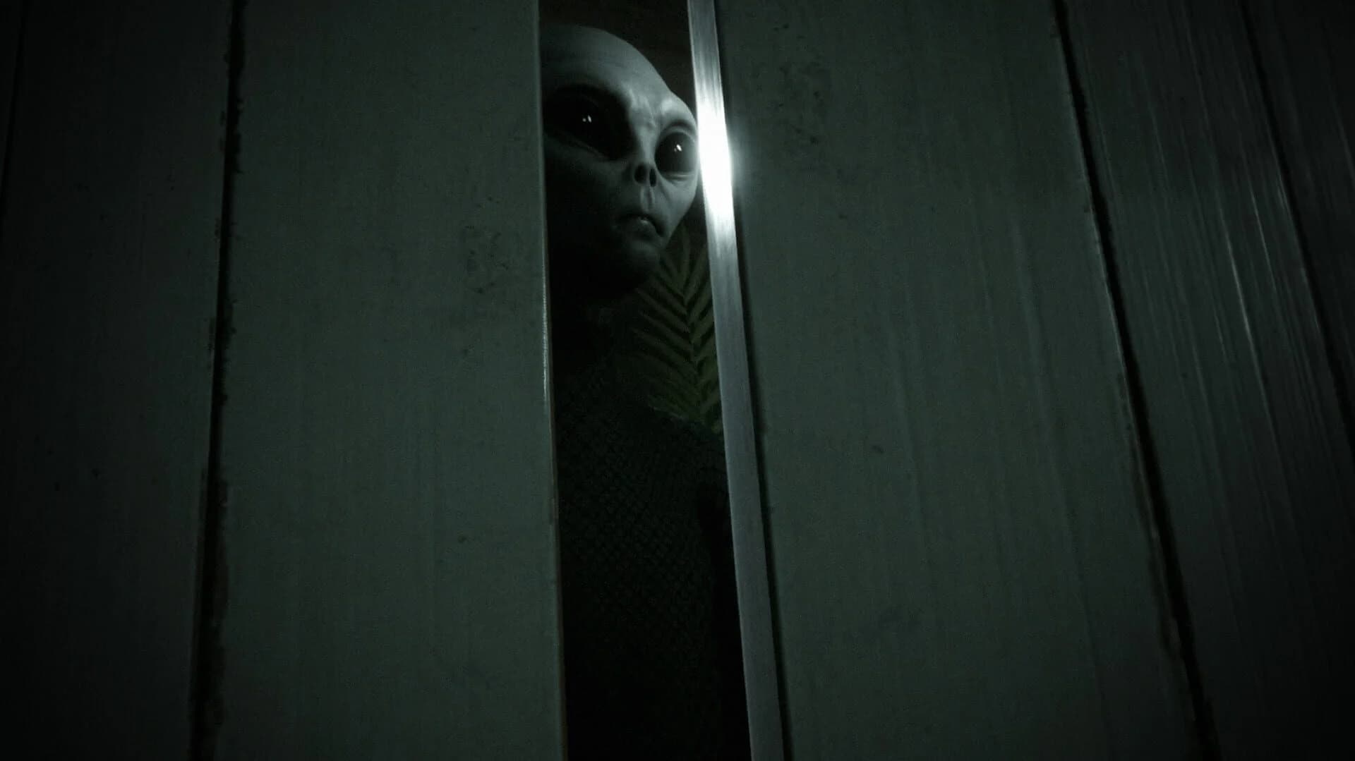 Greyhill Incident screenshot 4