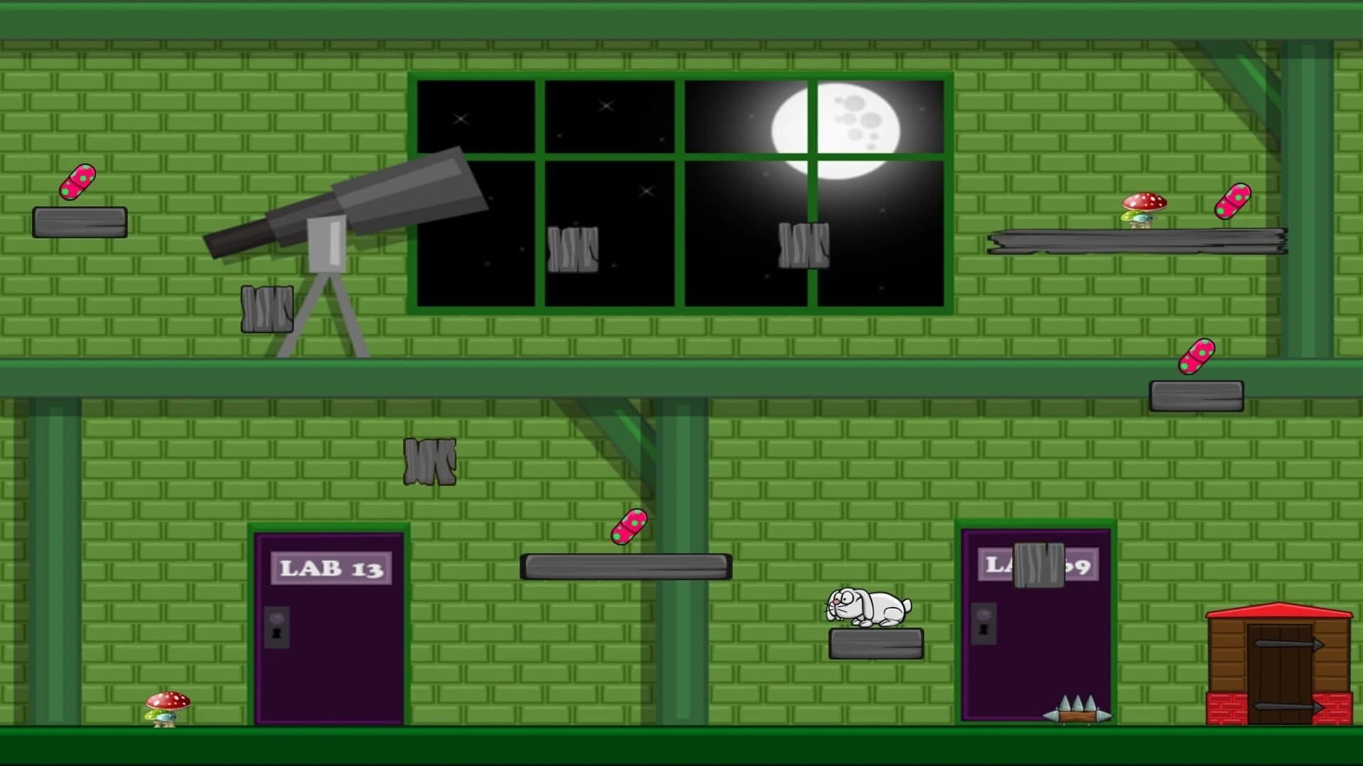 Guinea-Pig screenshot 1