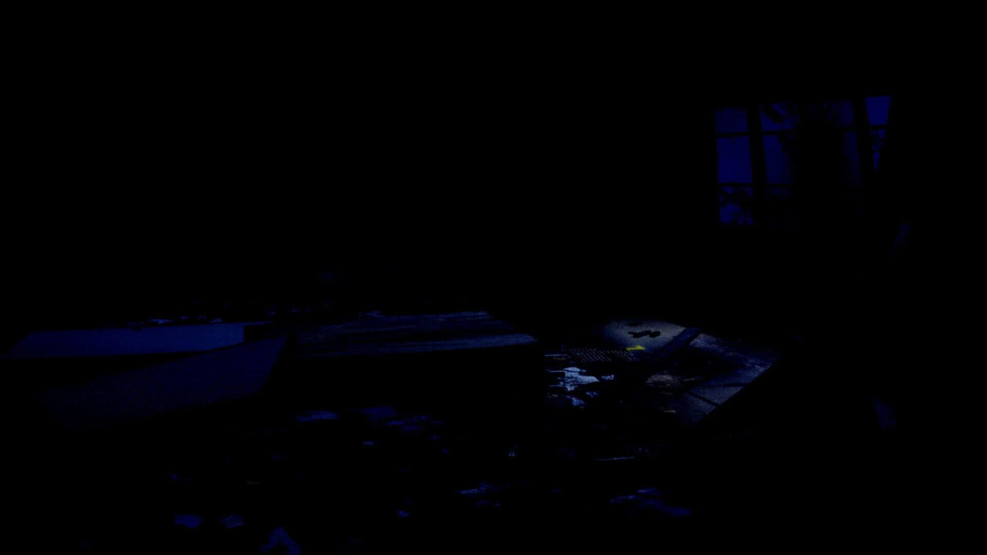 Hai Shuuraku Tansaku screenshot 4