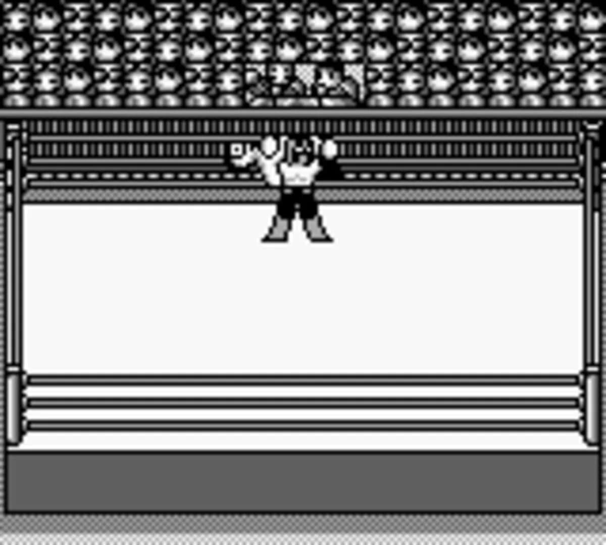 Hal Wrestling screenshot 3