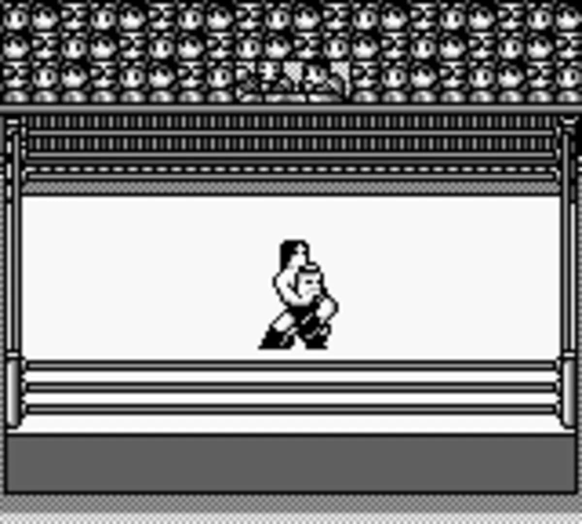 Hal Wrestling screenshot 2