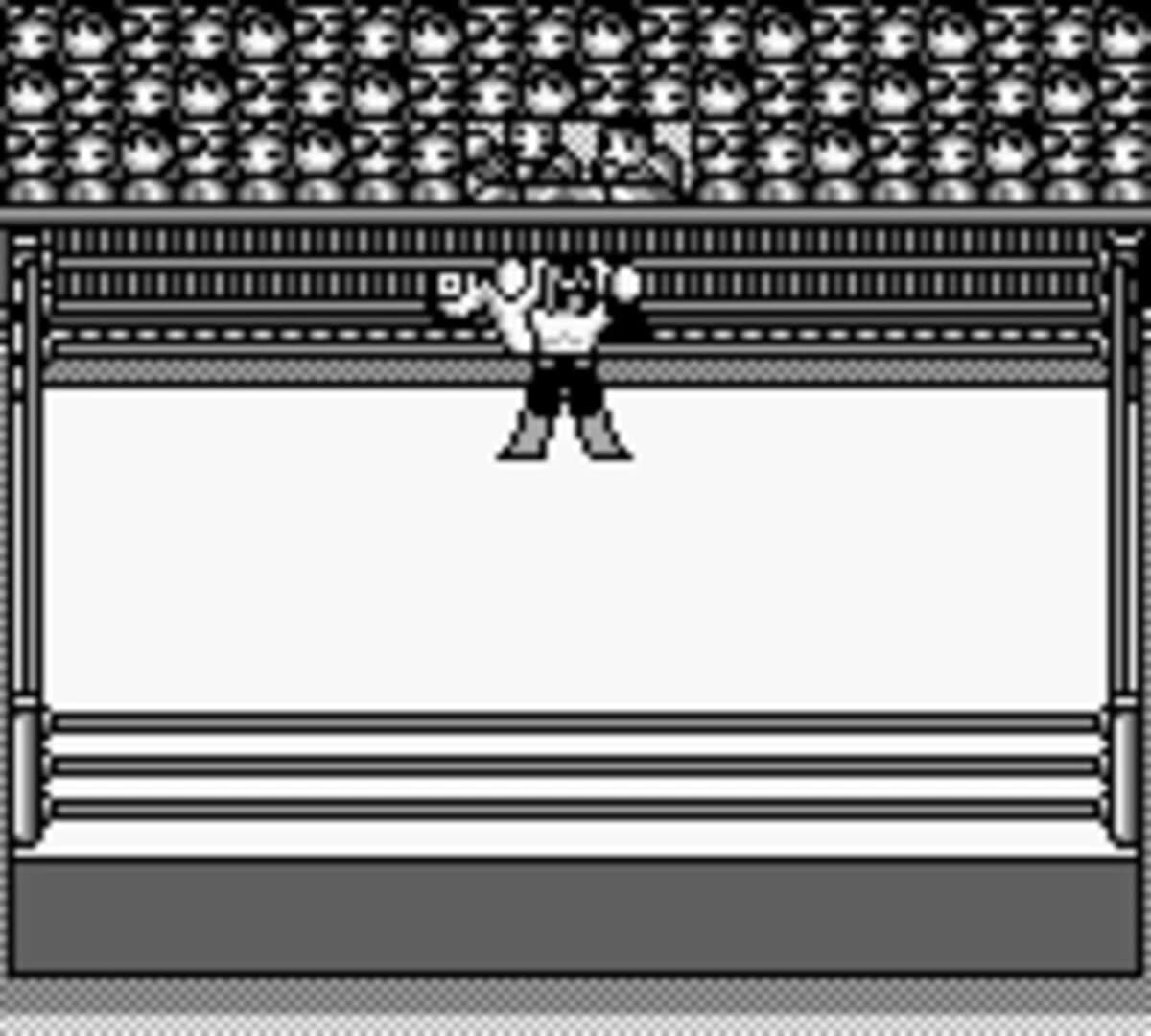 Hal Wrestling screenshot 3