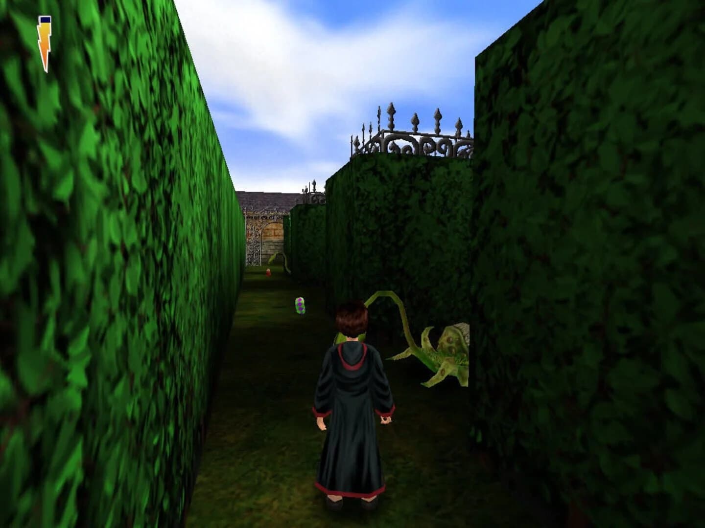Harry Potter and the Sorcerer's Stone screenshot 3